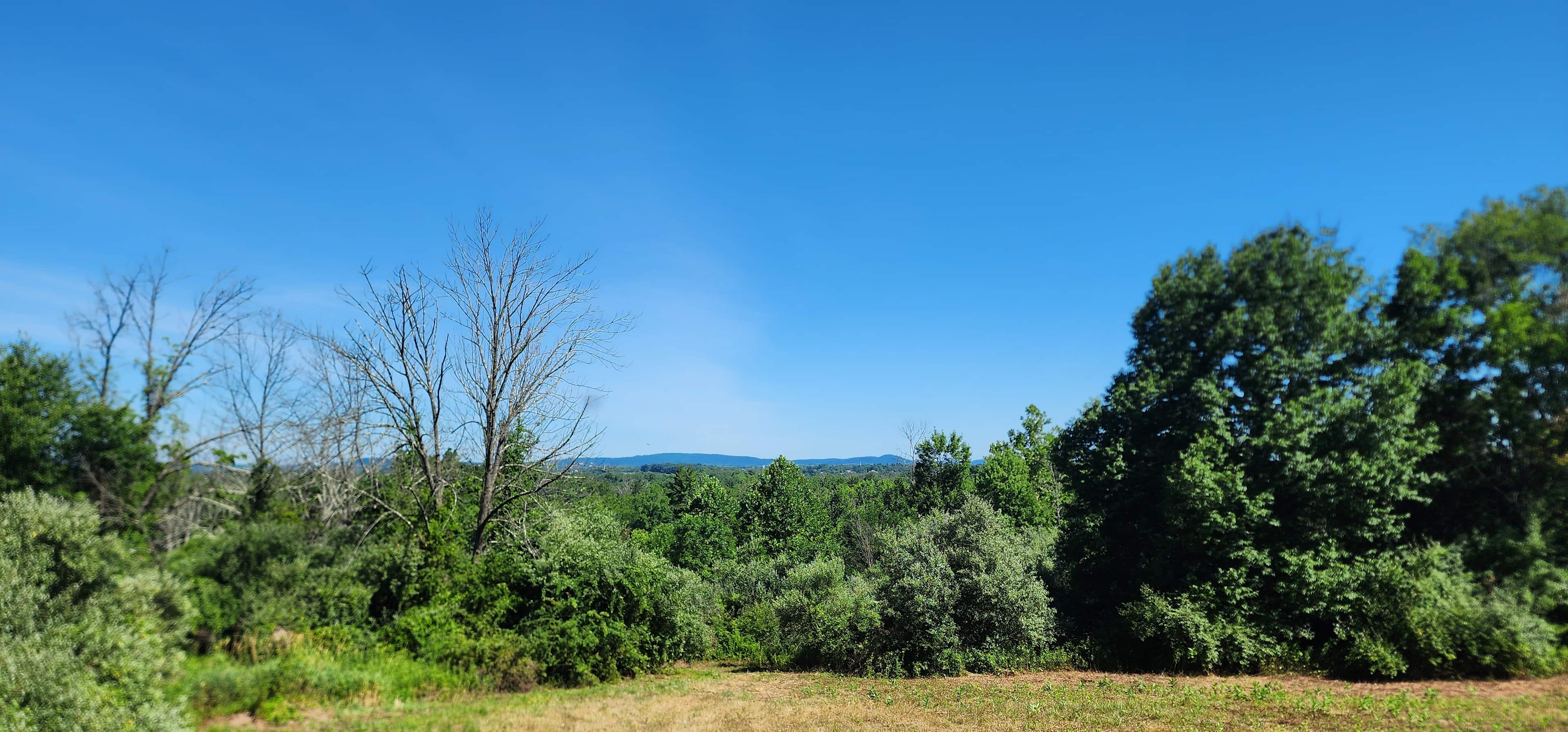 33 Acre Farm And Retreat