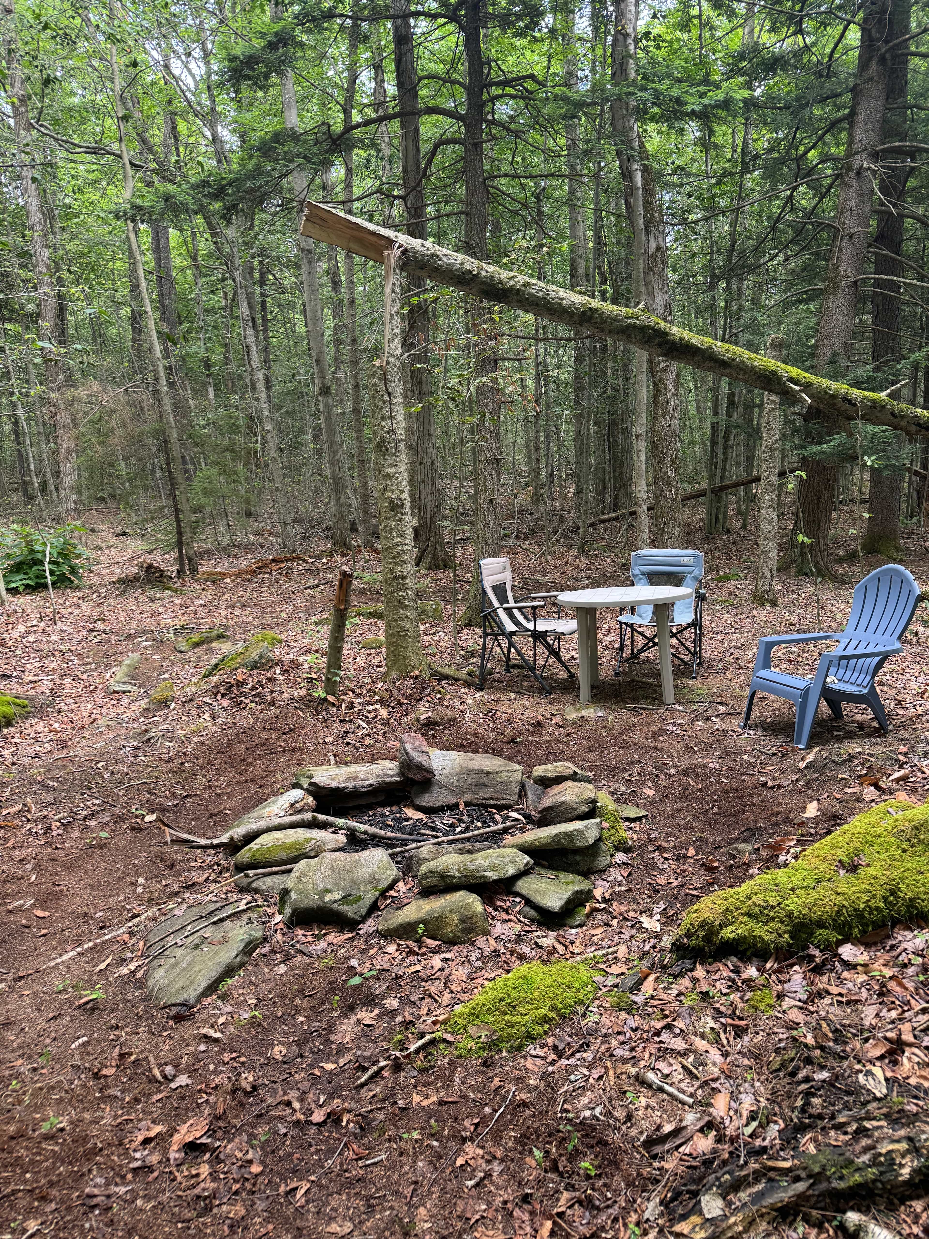 Mount Airy Hill