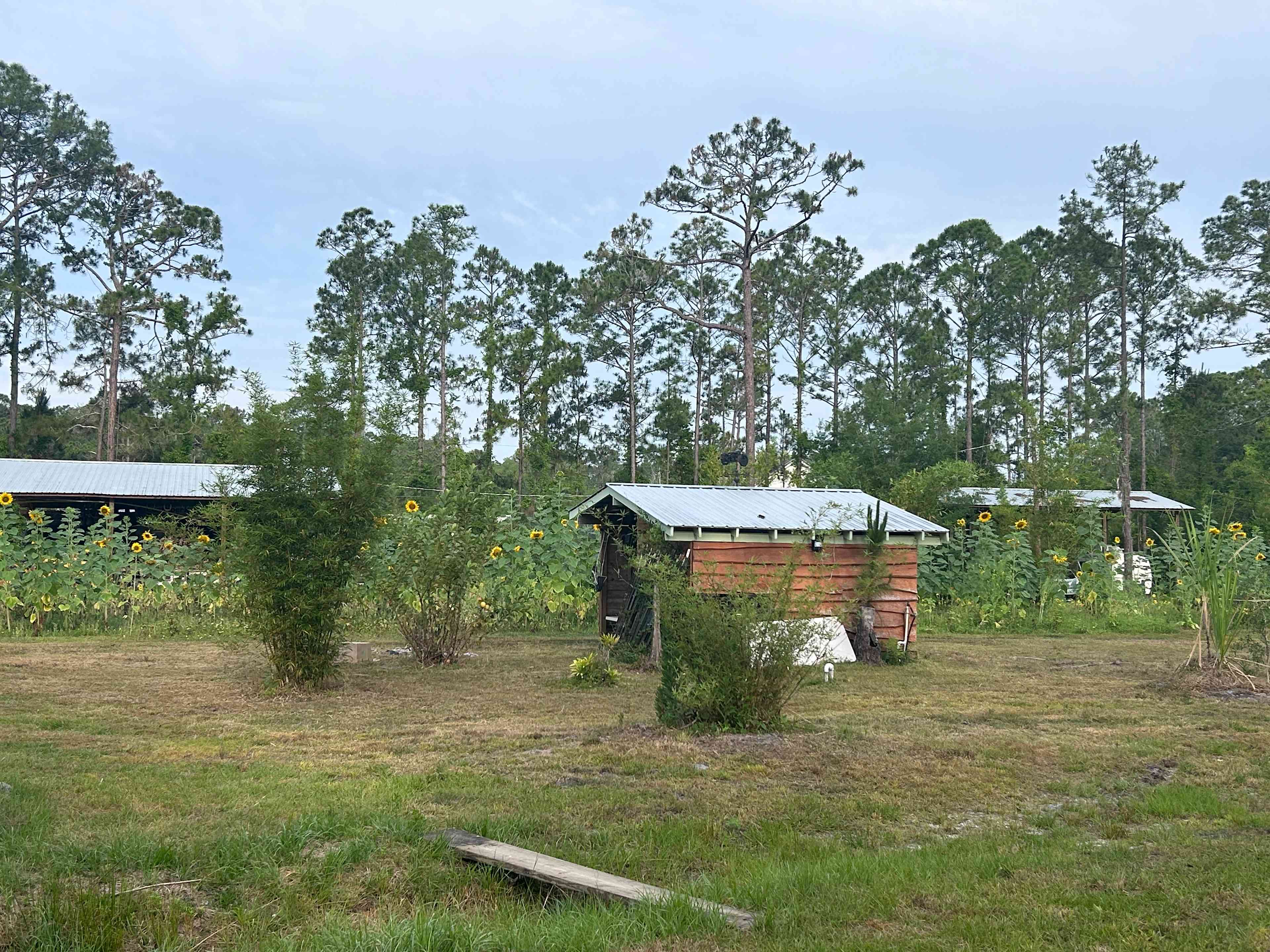 Cozy Freedom at Earthperks Farm