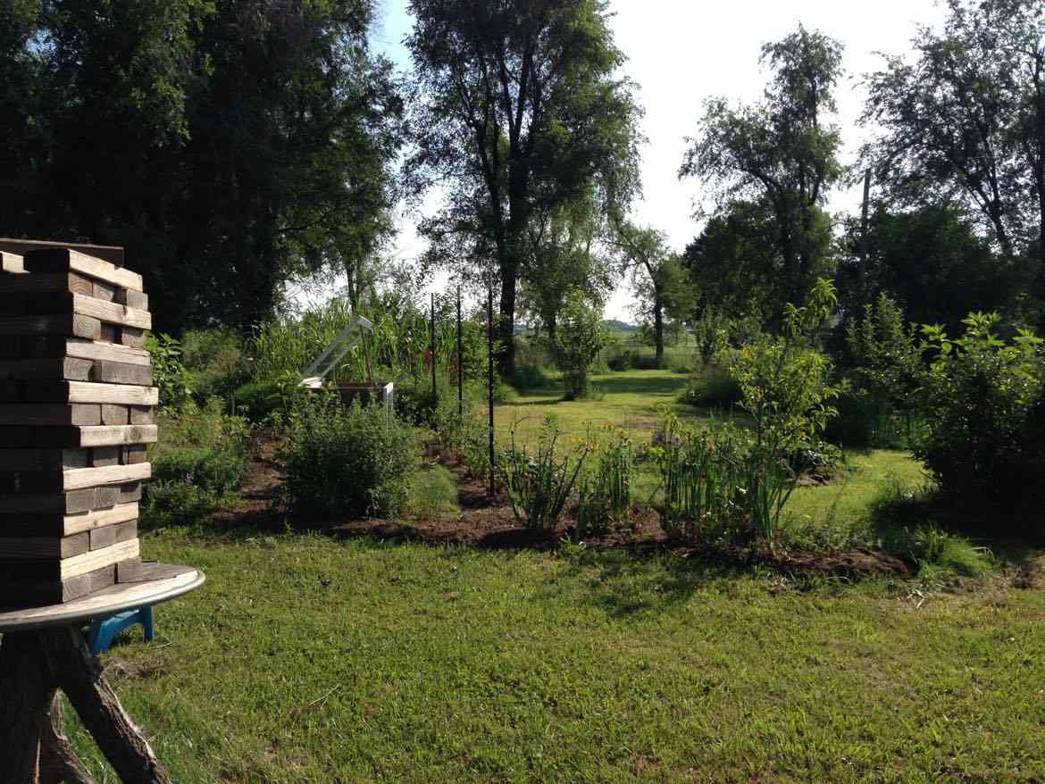 Stardust Market Garden