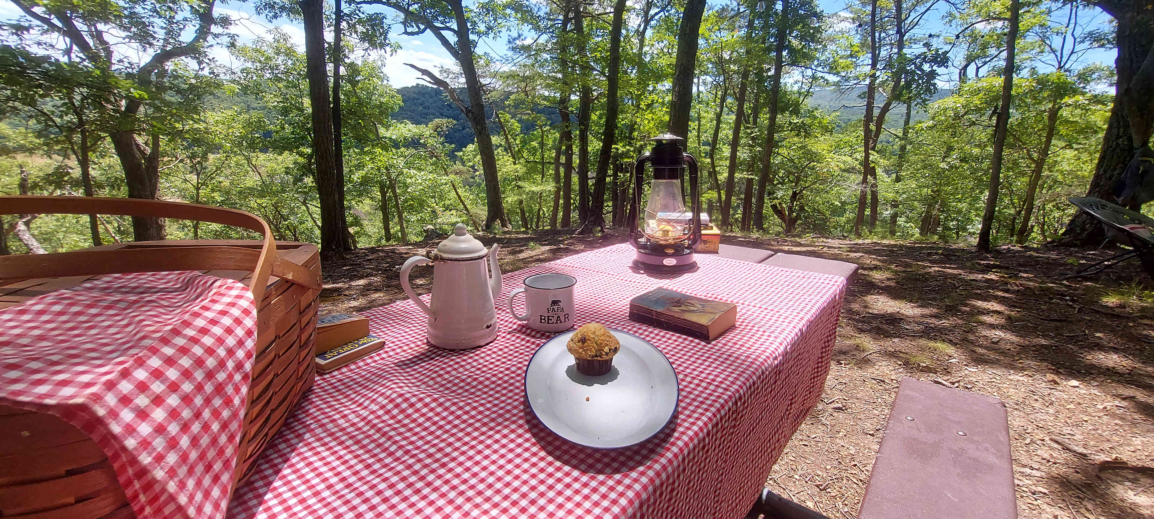 Breakfast with a summer view of the Allegheny Mountains of WV