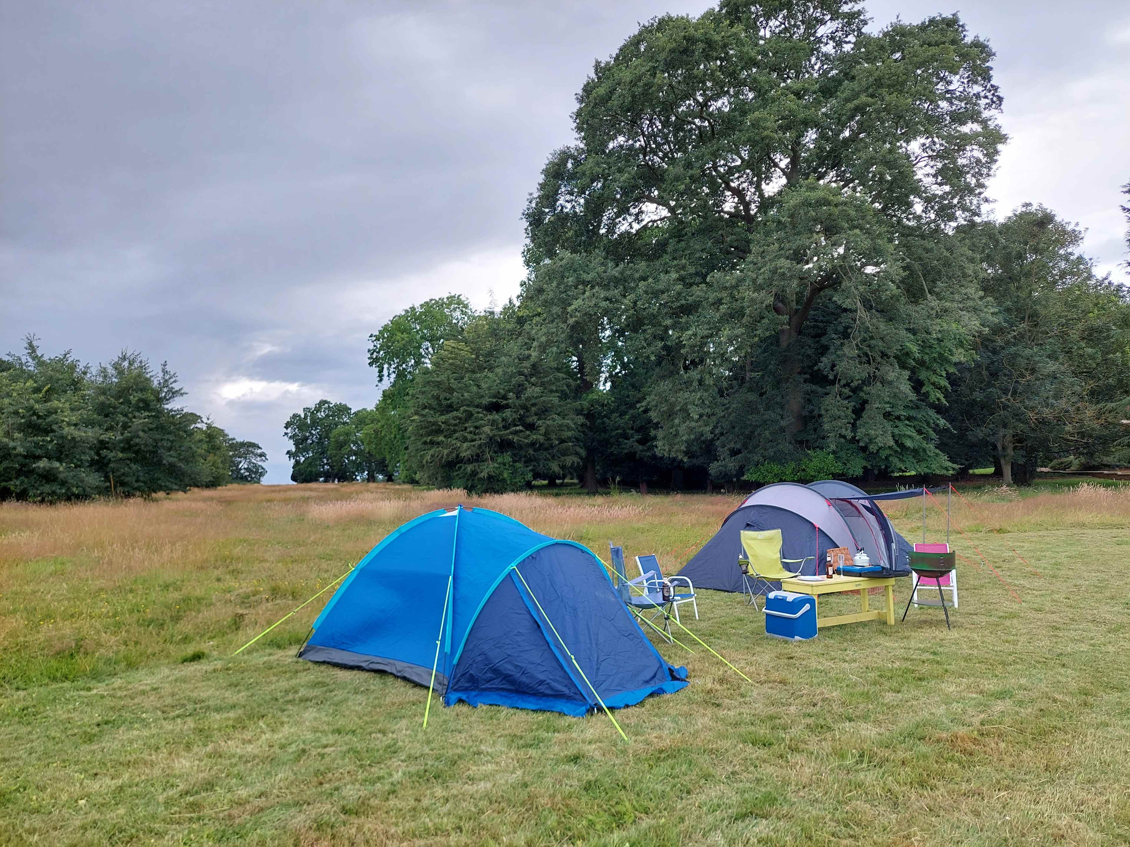 Enholmes Meadow