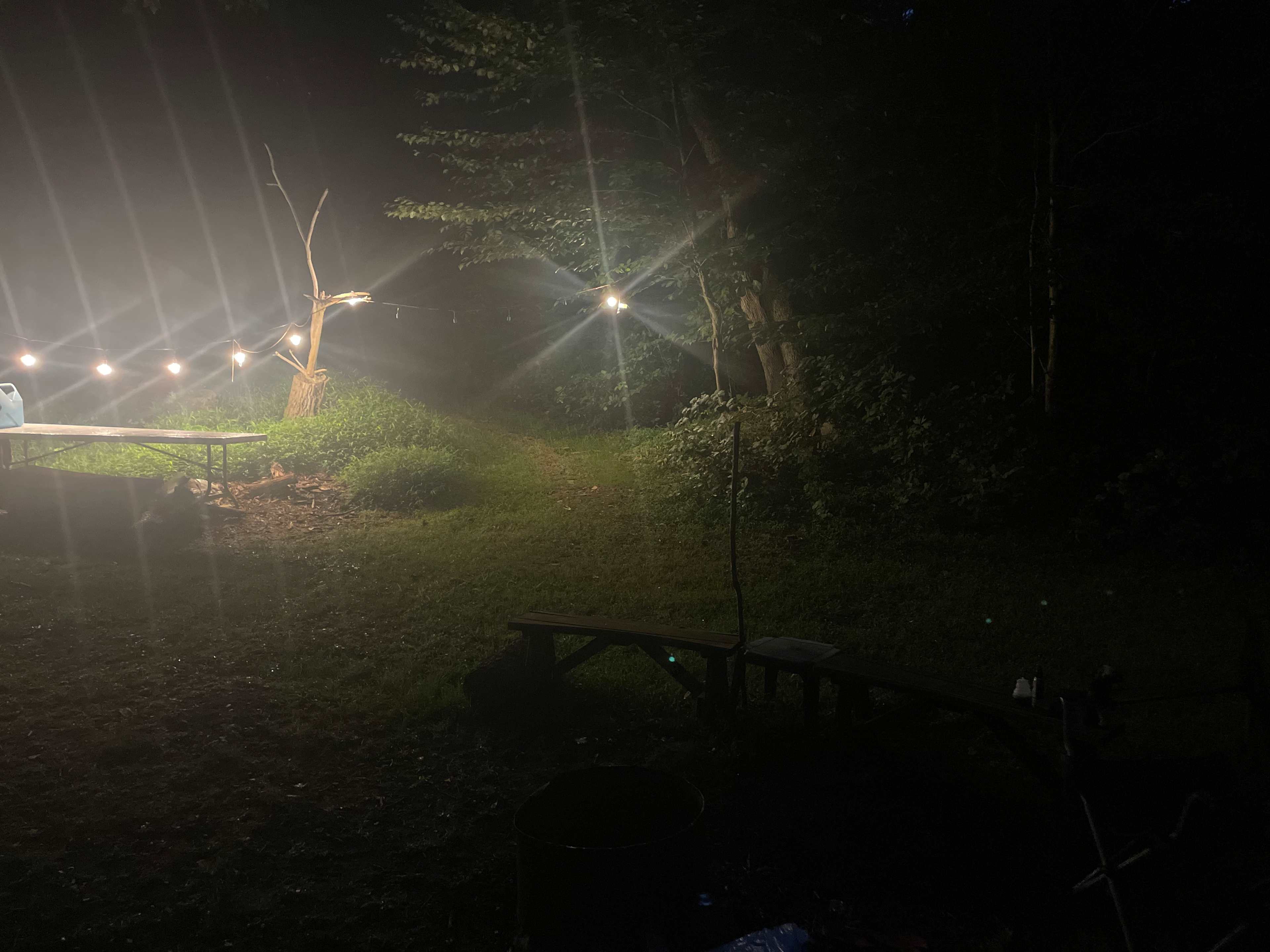 Pinnacle Orchard