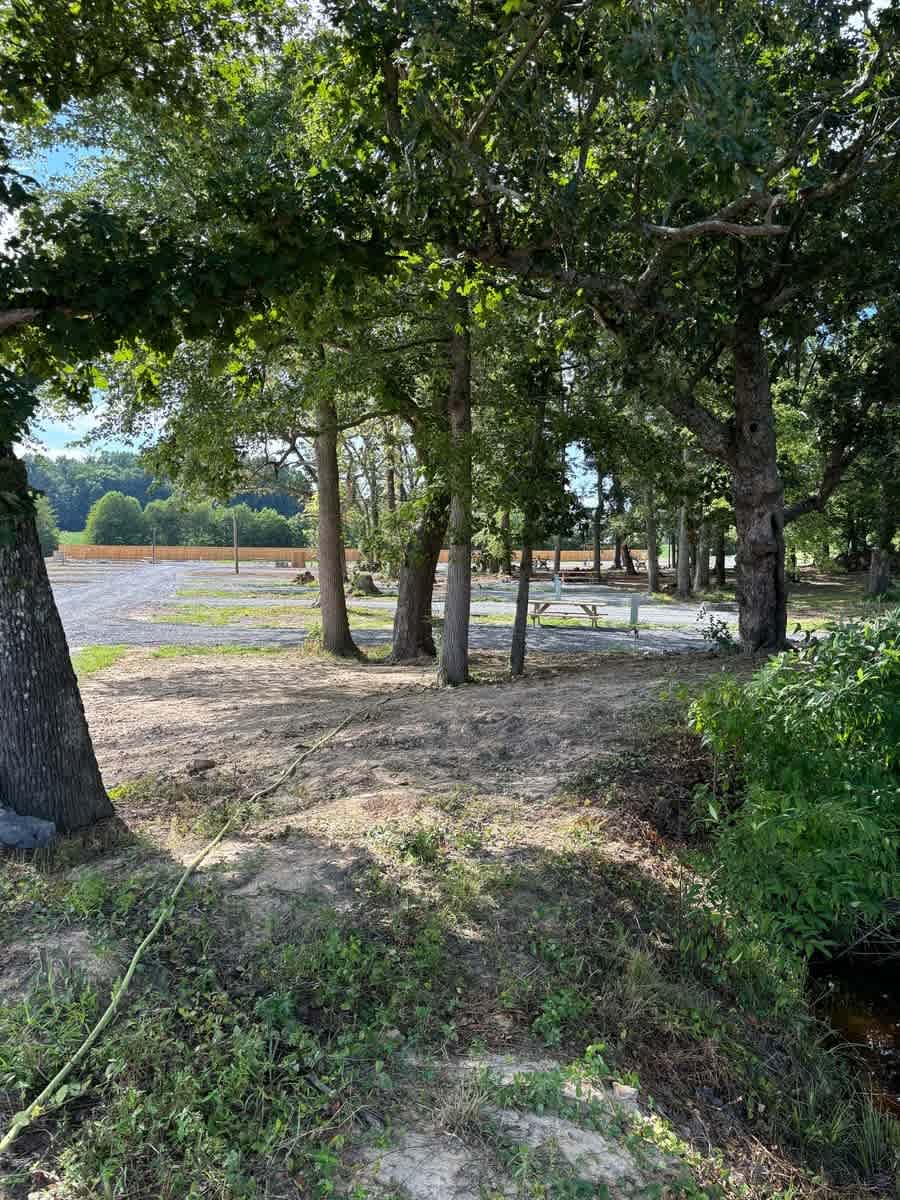 The Driftwoods RV Park