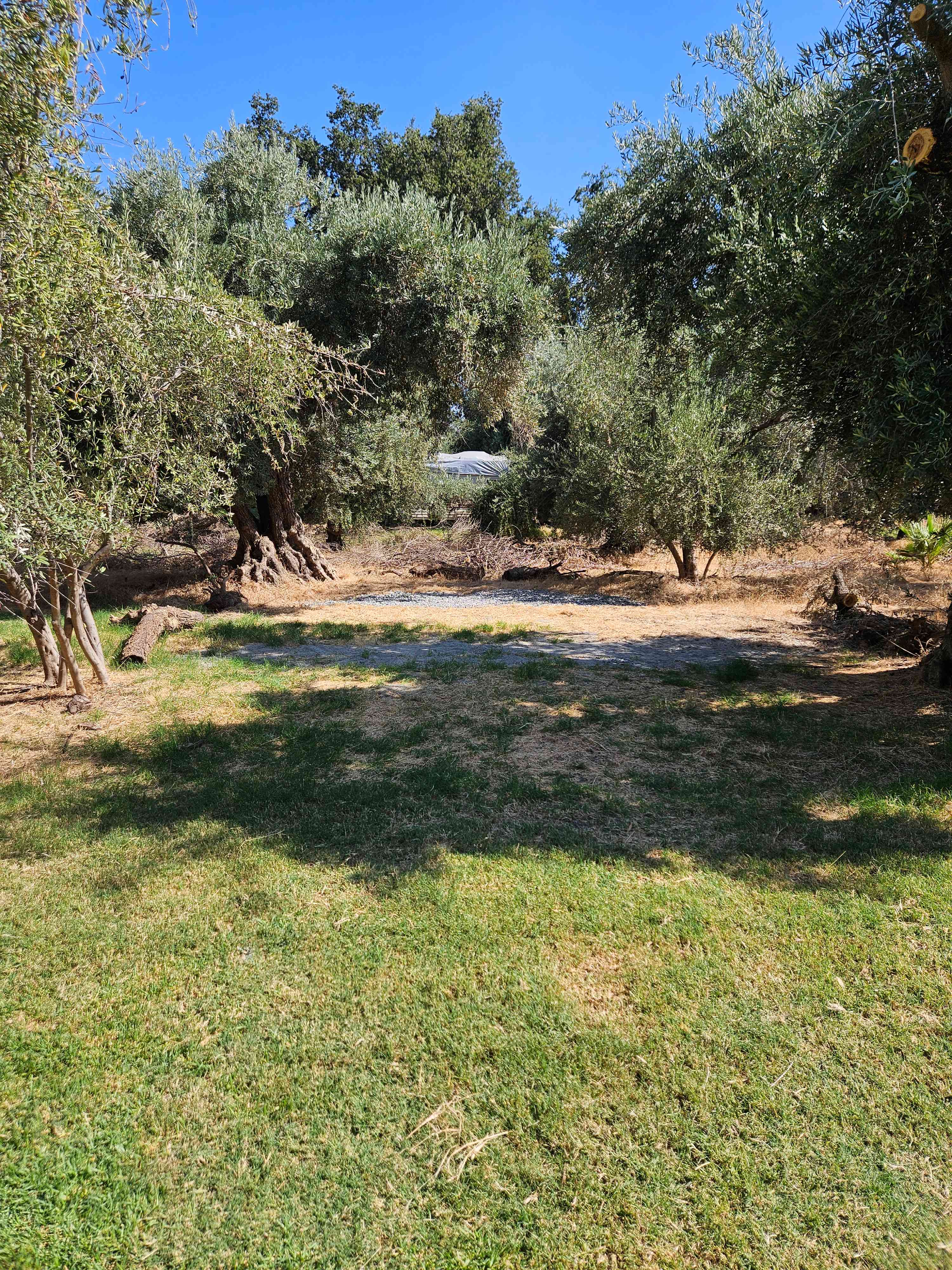 Blue Moon Orchard Retreat