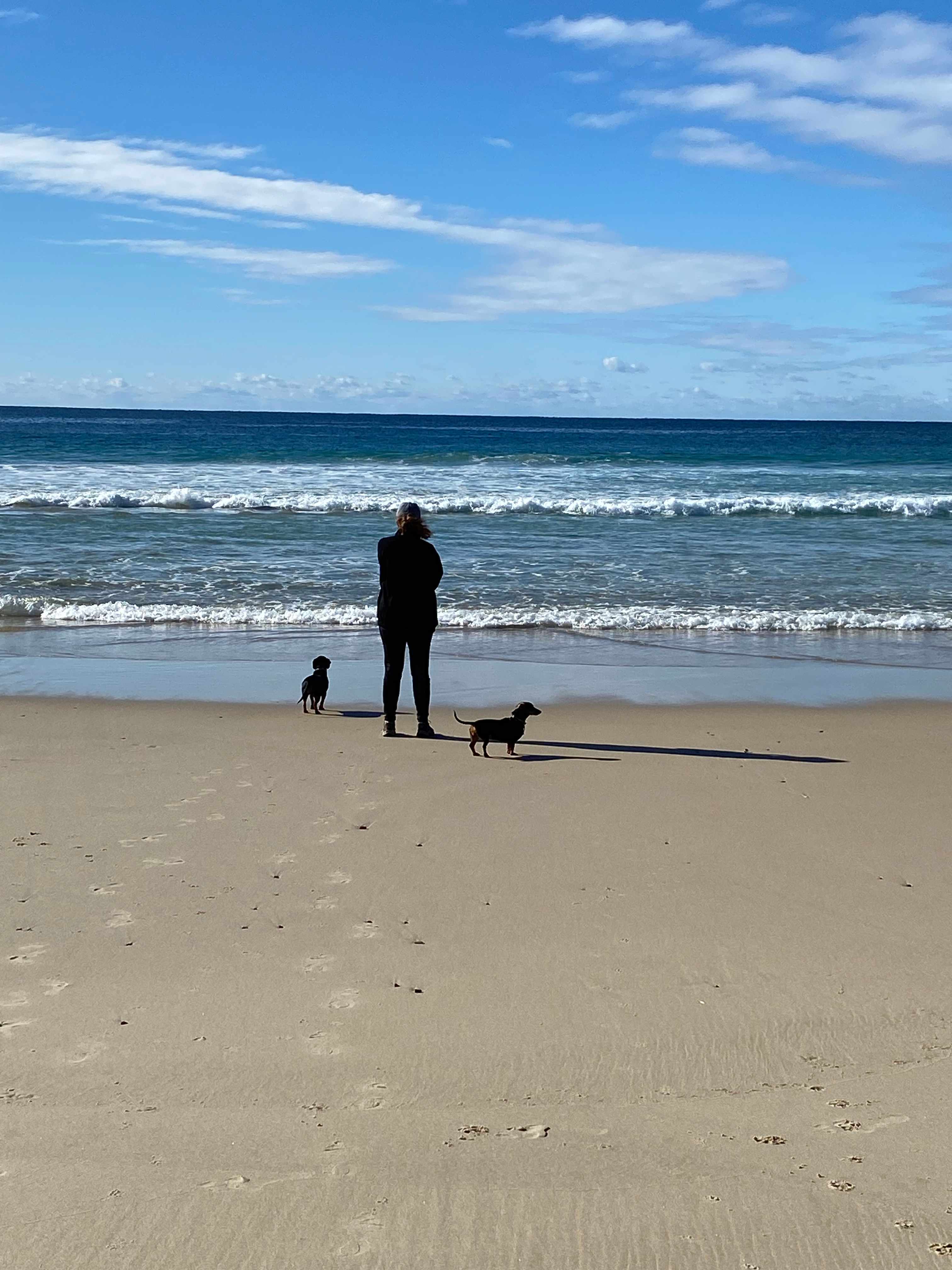 Dog friendly beach 2 minutes walk from our cabin.