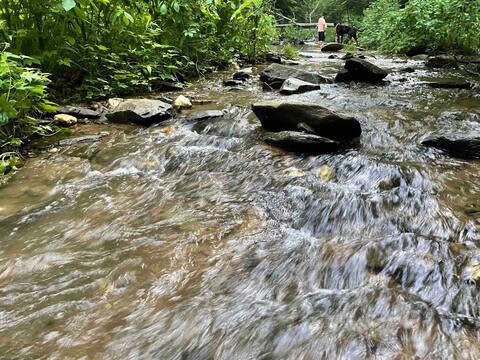 Creekside