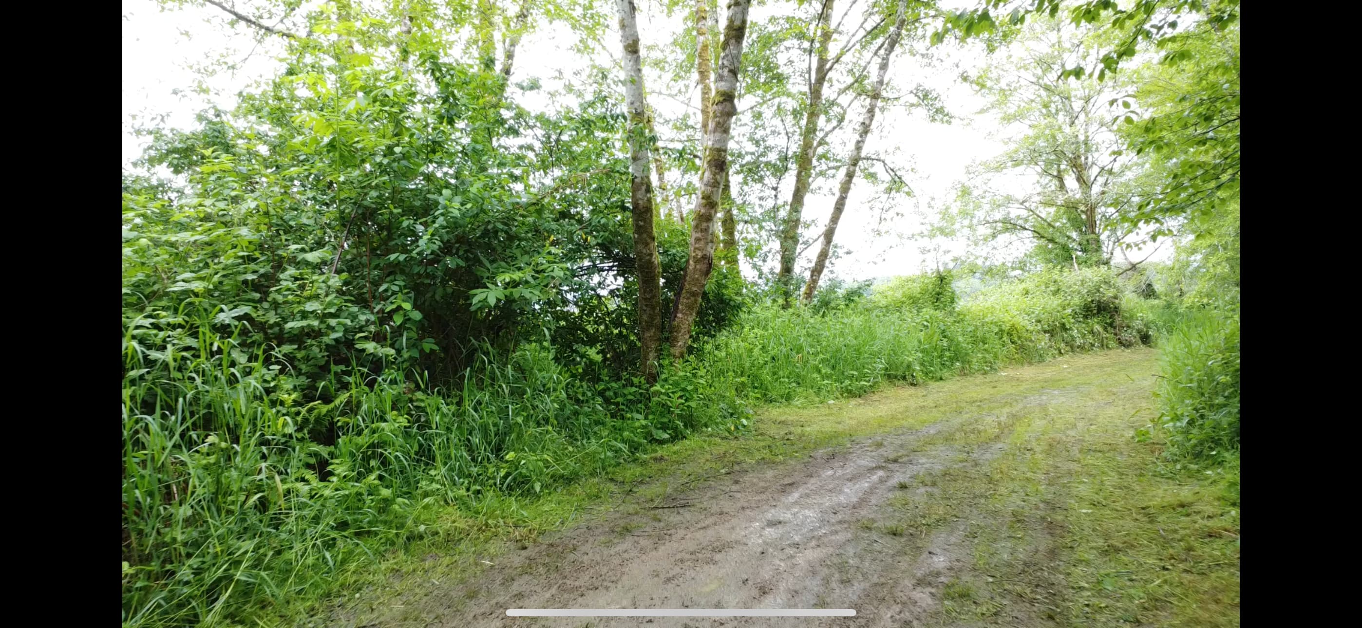 Fisherman’s Lair on the Willapa