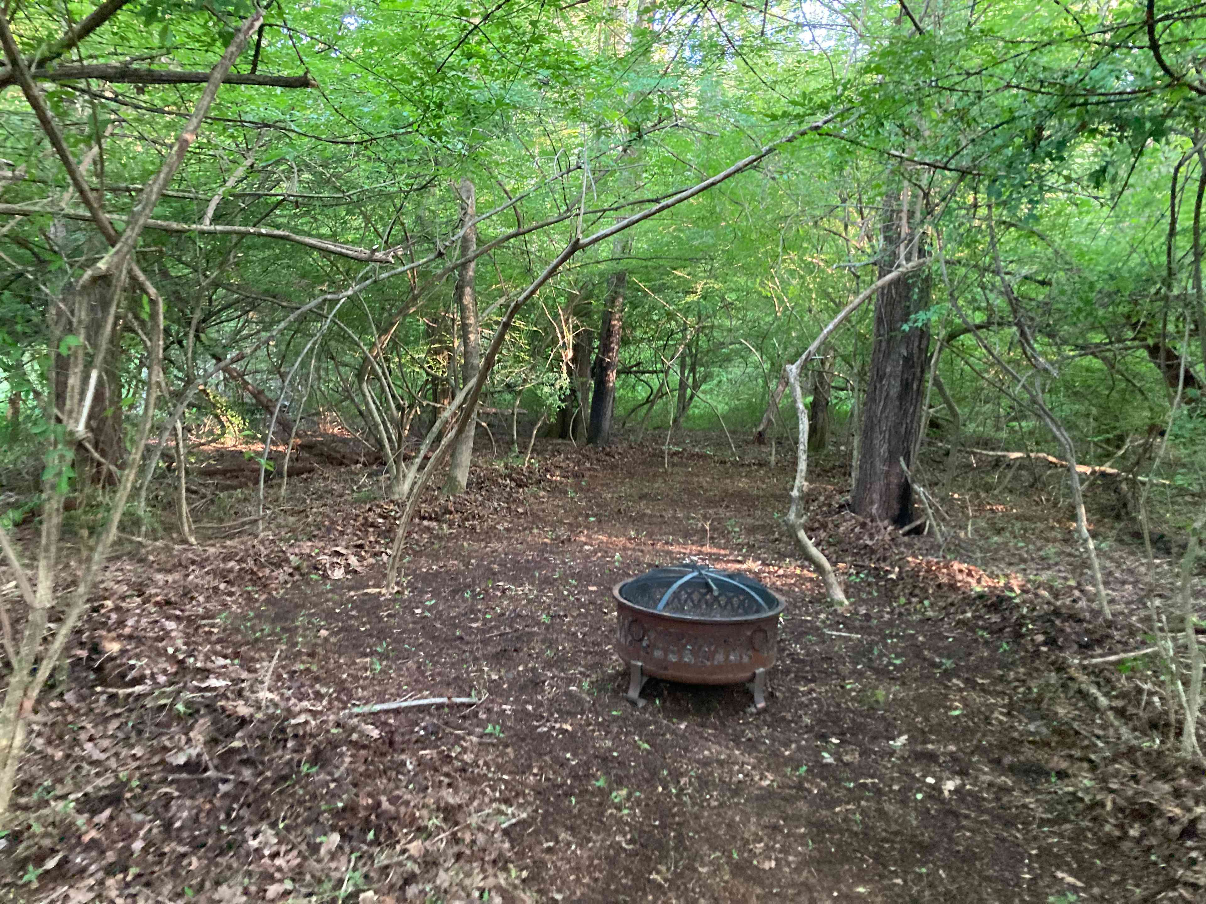 Camping on the Homestead