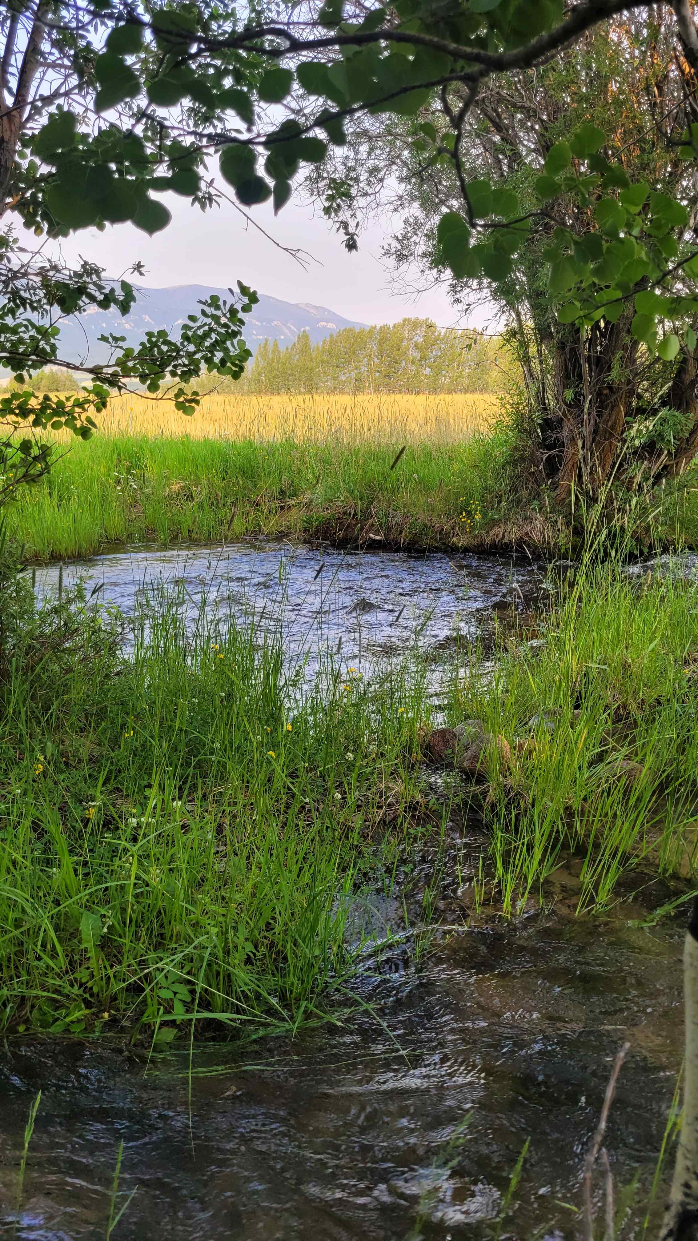 Tucker Ranch