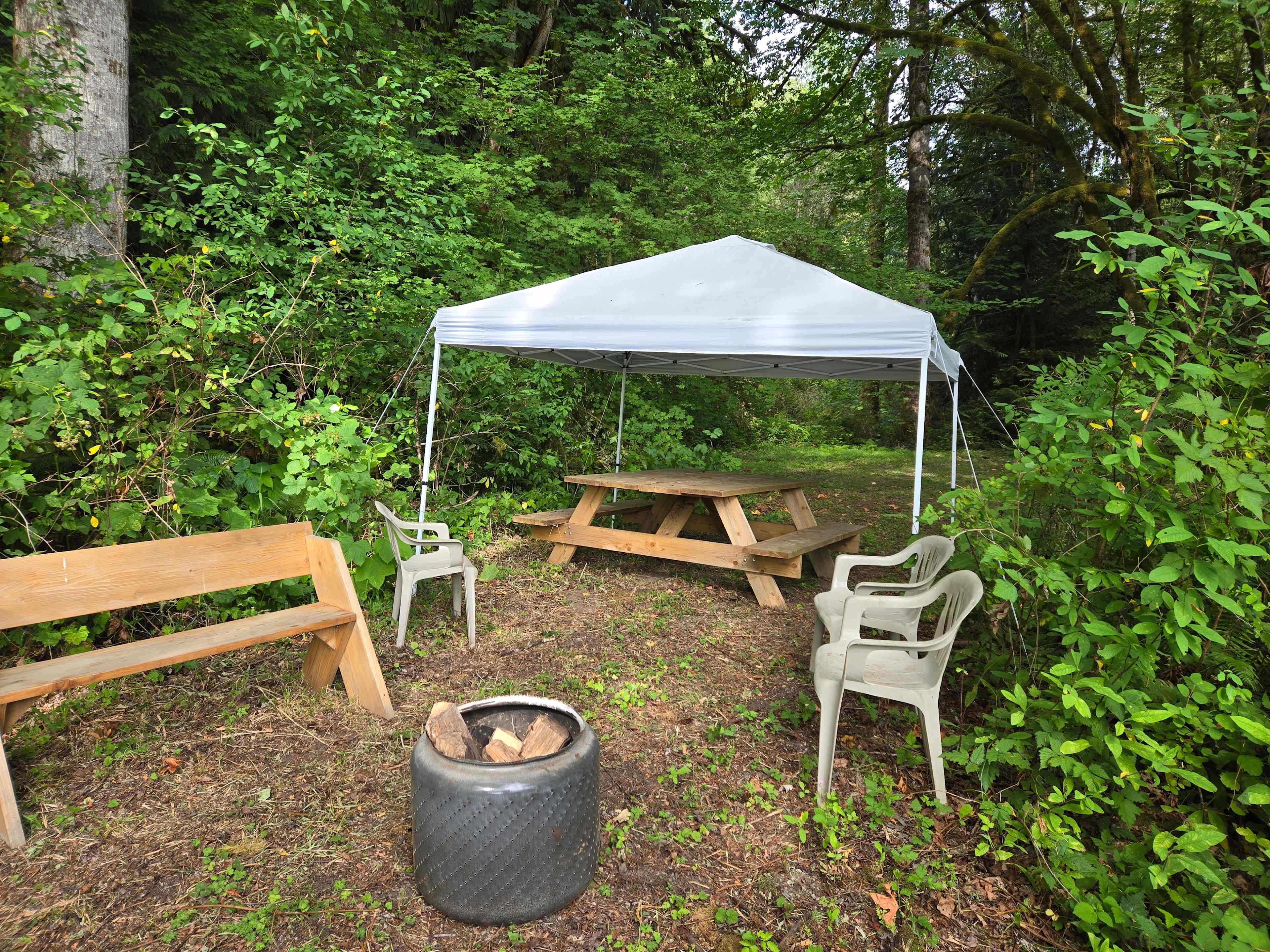 A canopy and picnic table for use
