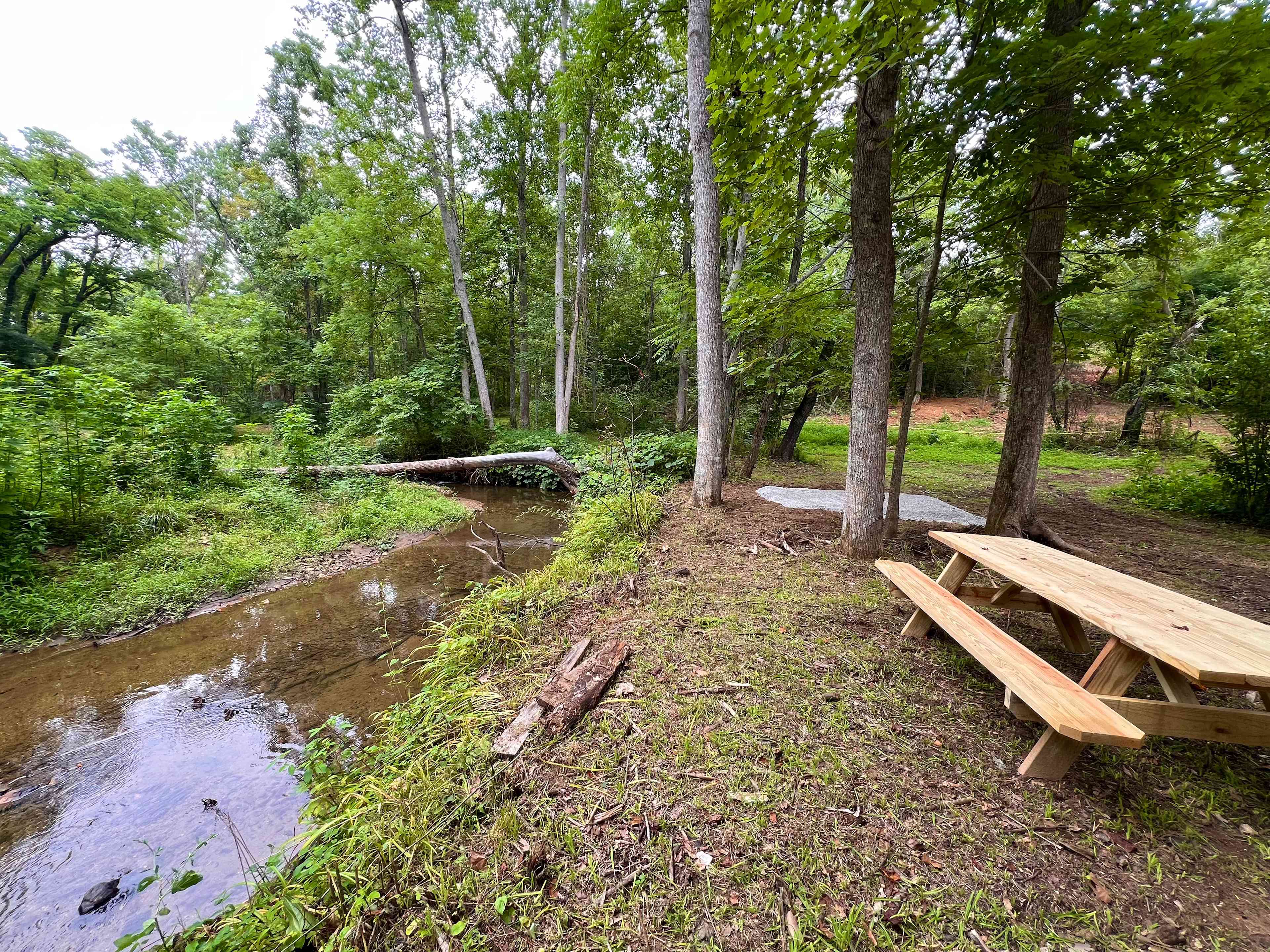 TangleWood Creekside Campsites
