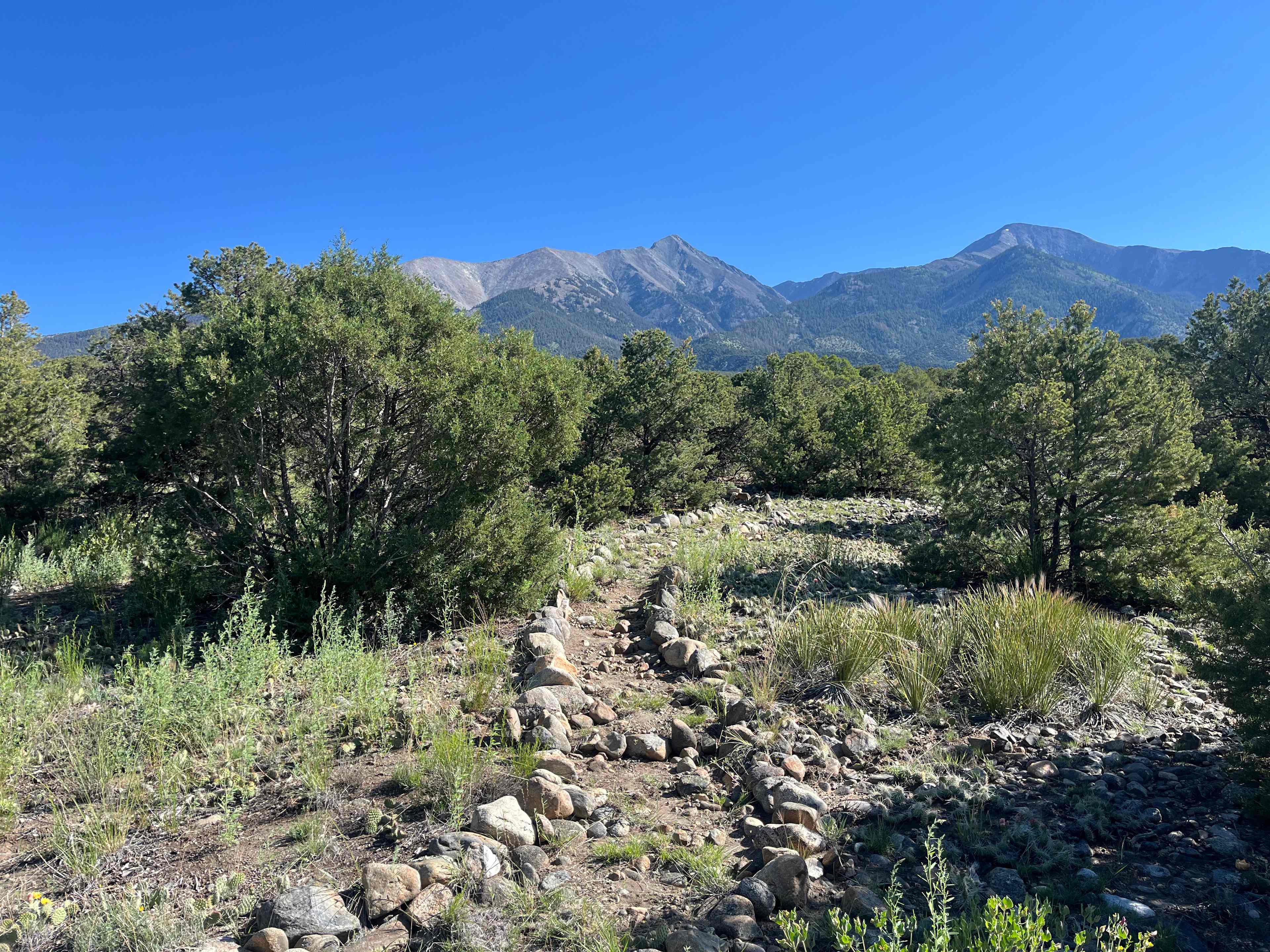 Eltor Ranch