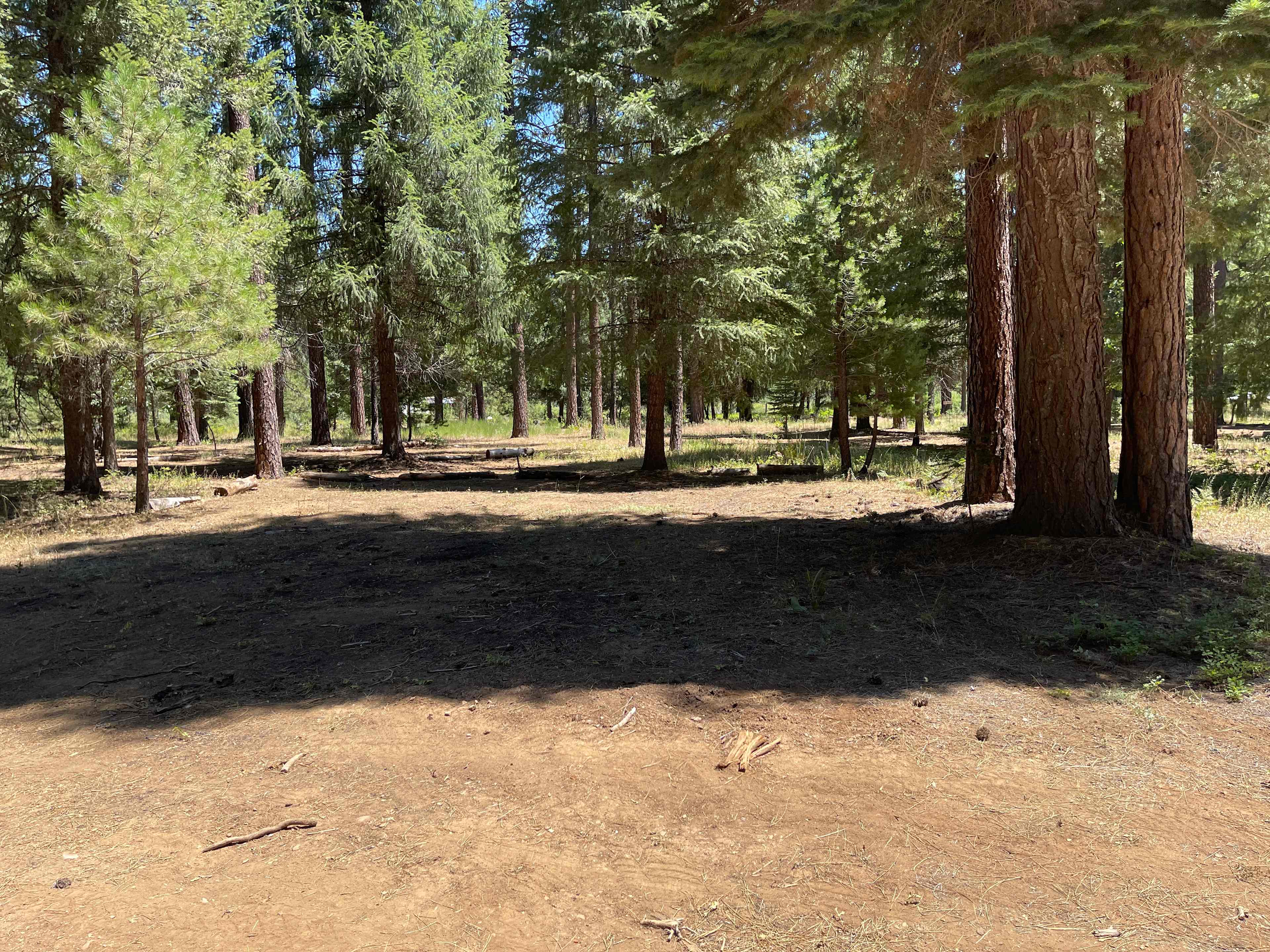 Wild Plumas California