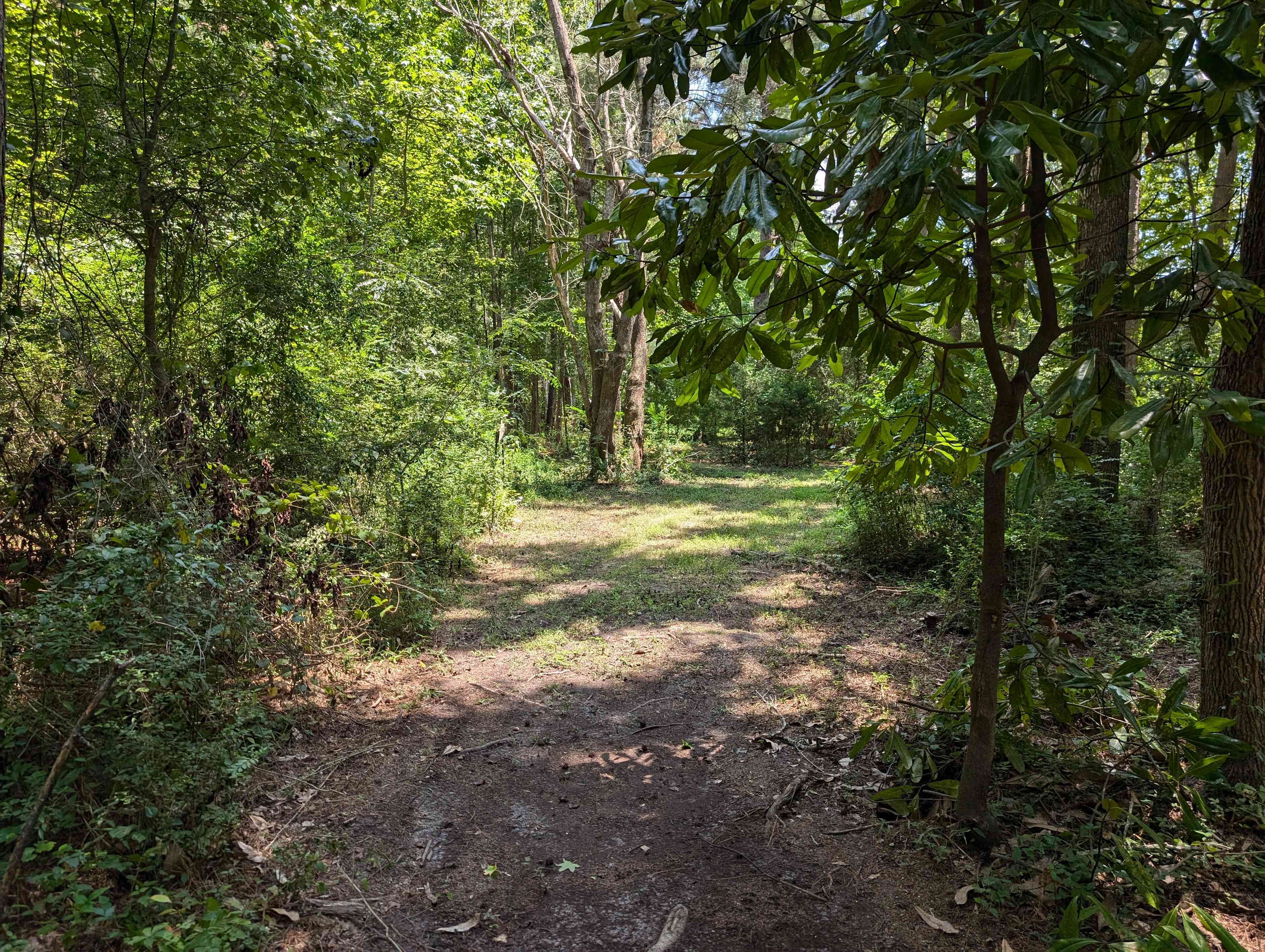 The Mill Creek Spread