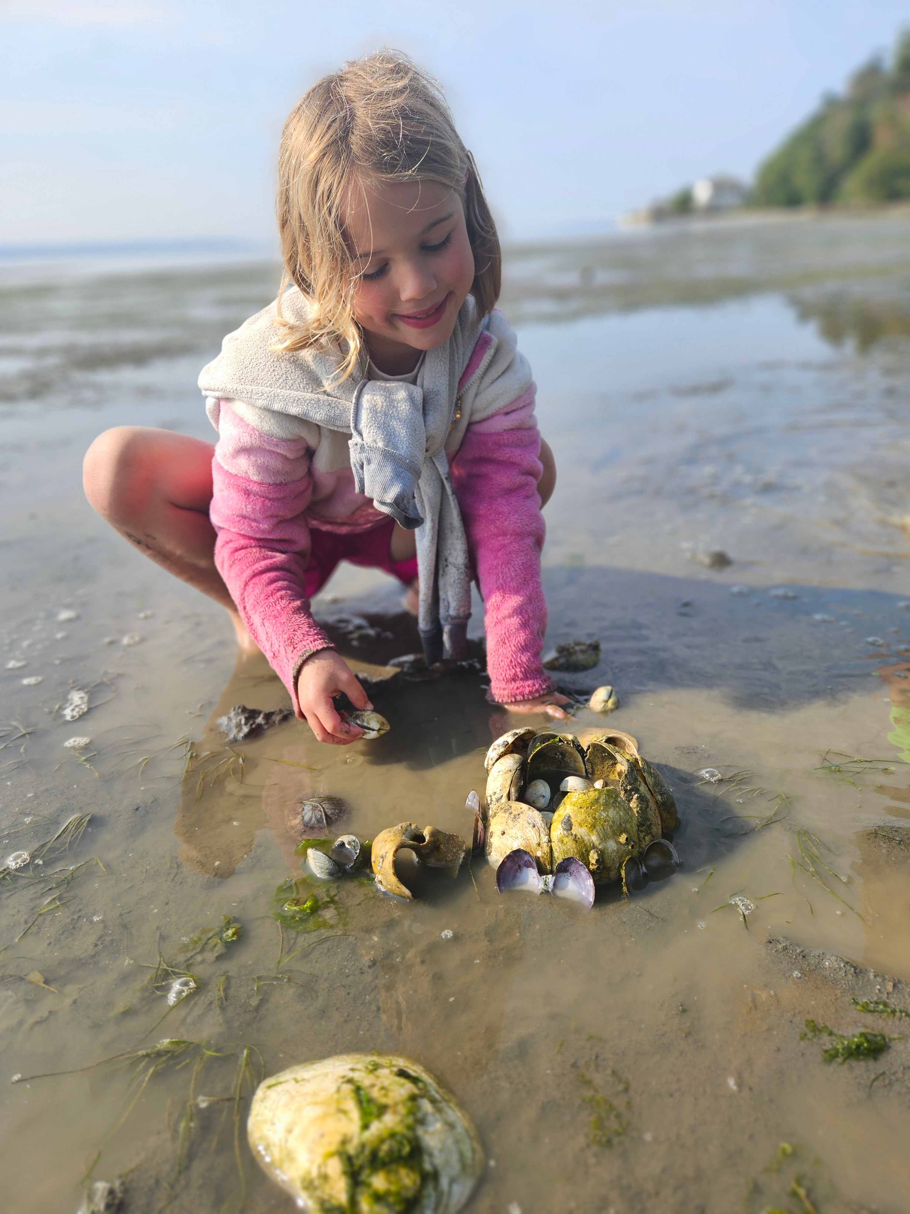 A Taste of Whidbey