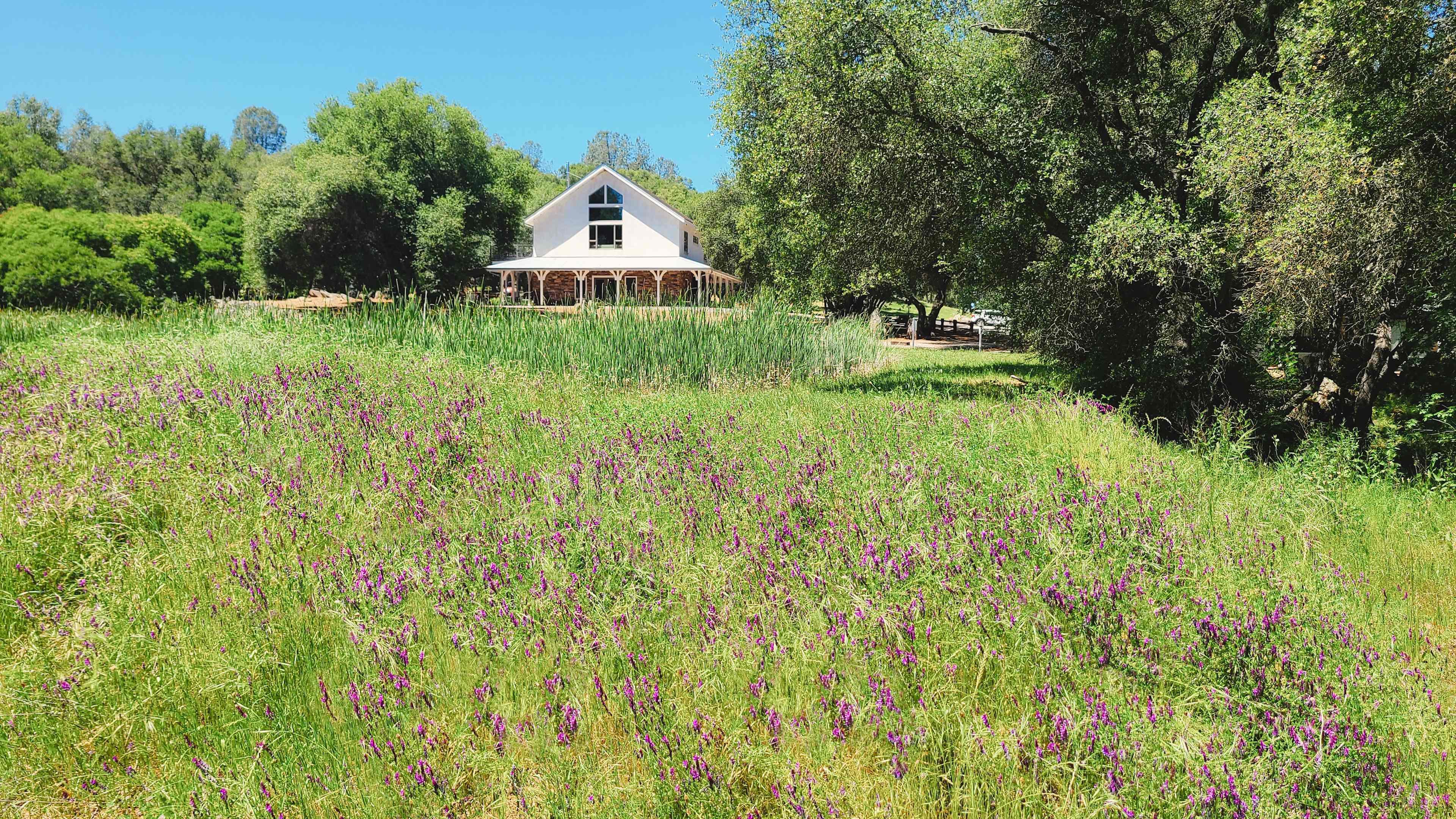 Prospect 772 Winery & Event Center