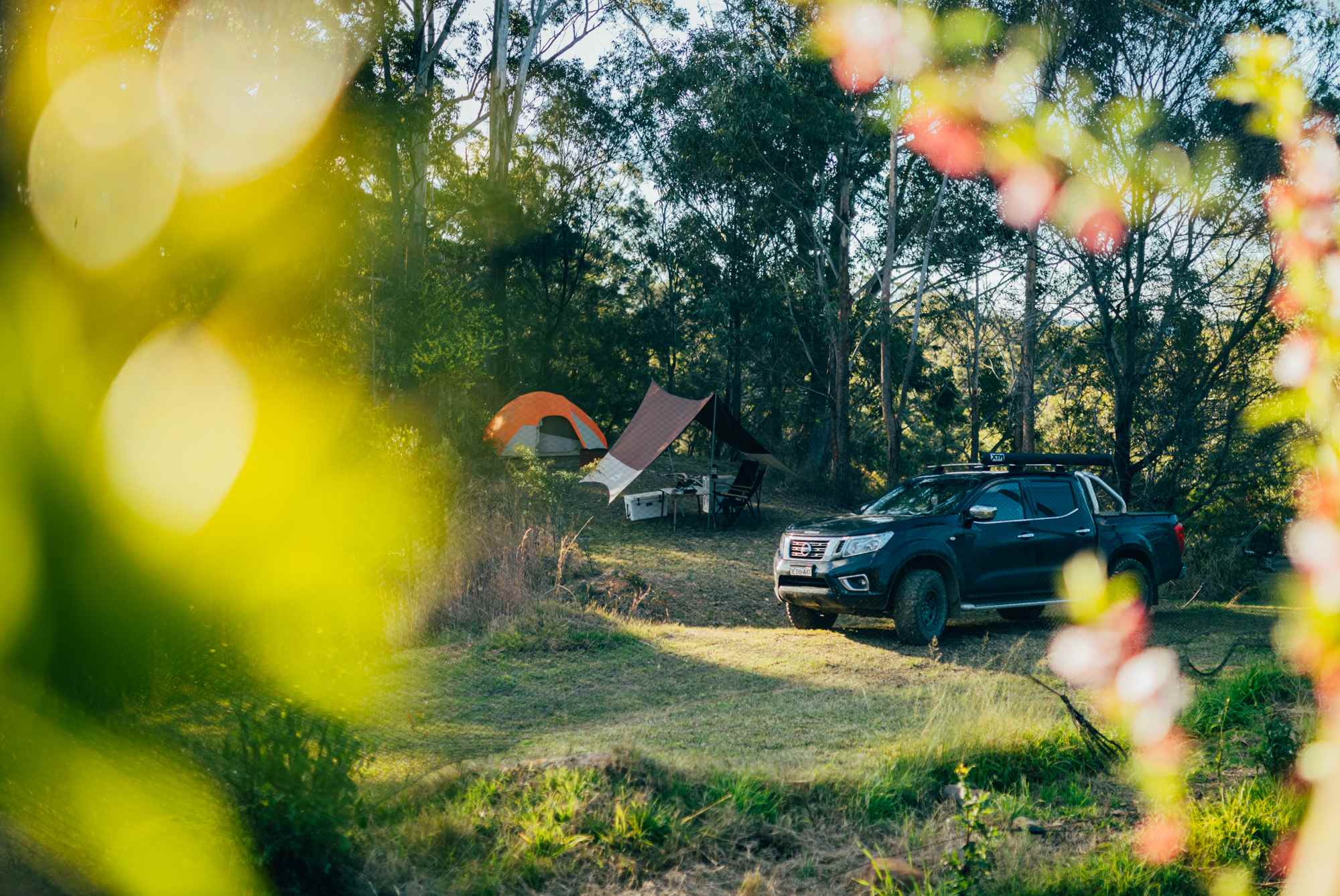 looking from orchard to the campsite