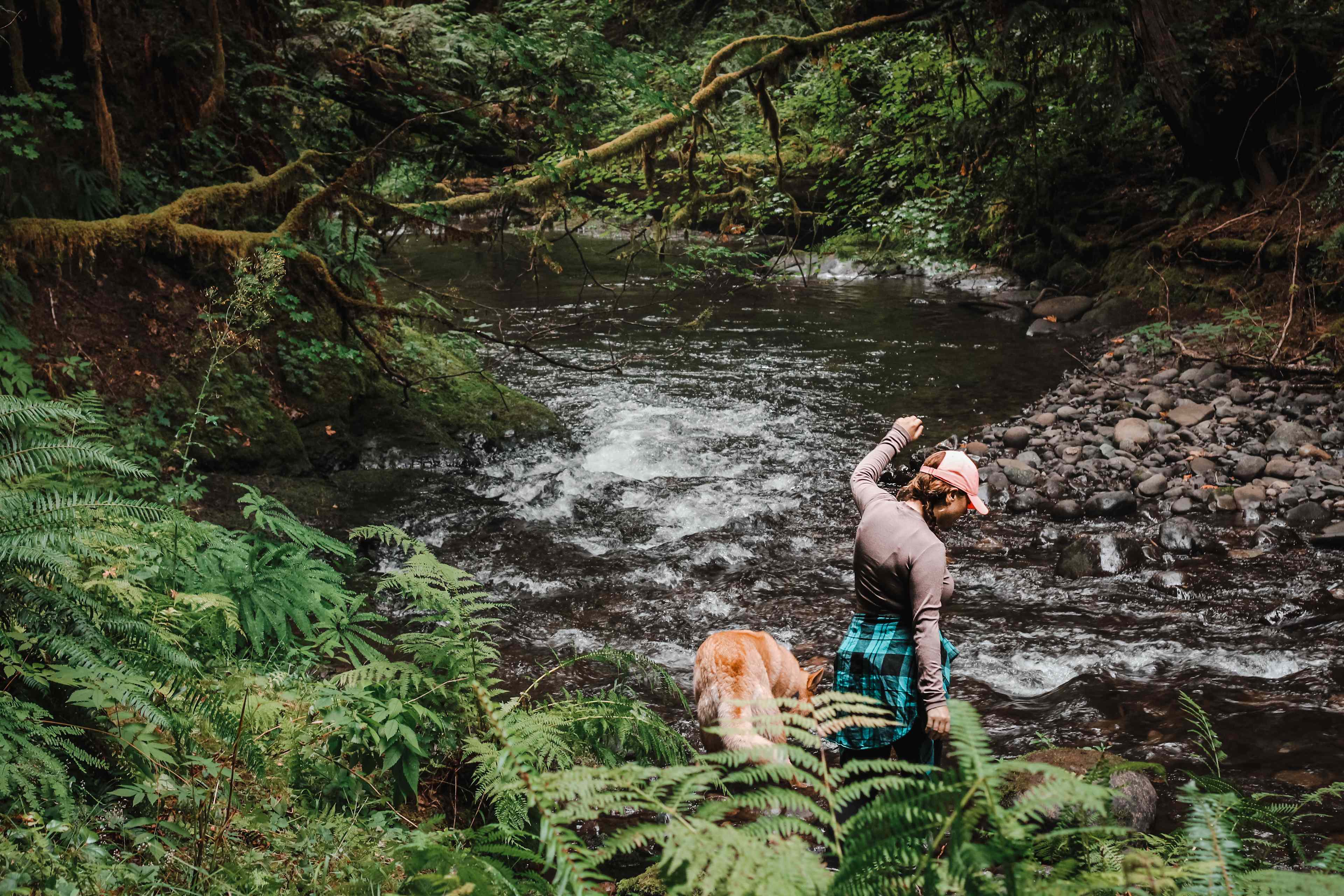 Trekking into the river!