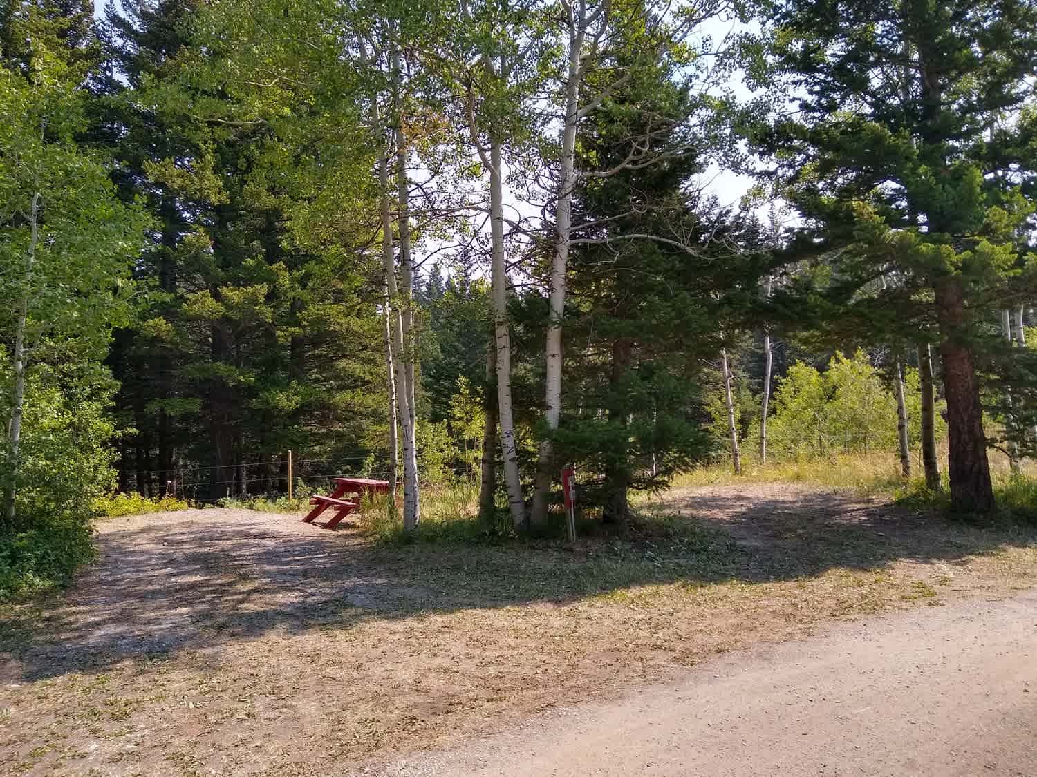 Leaning Tree Campground