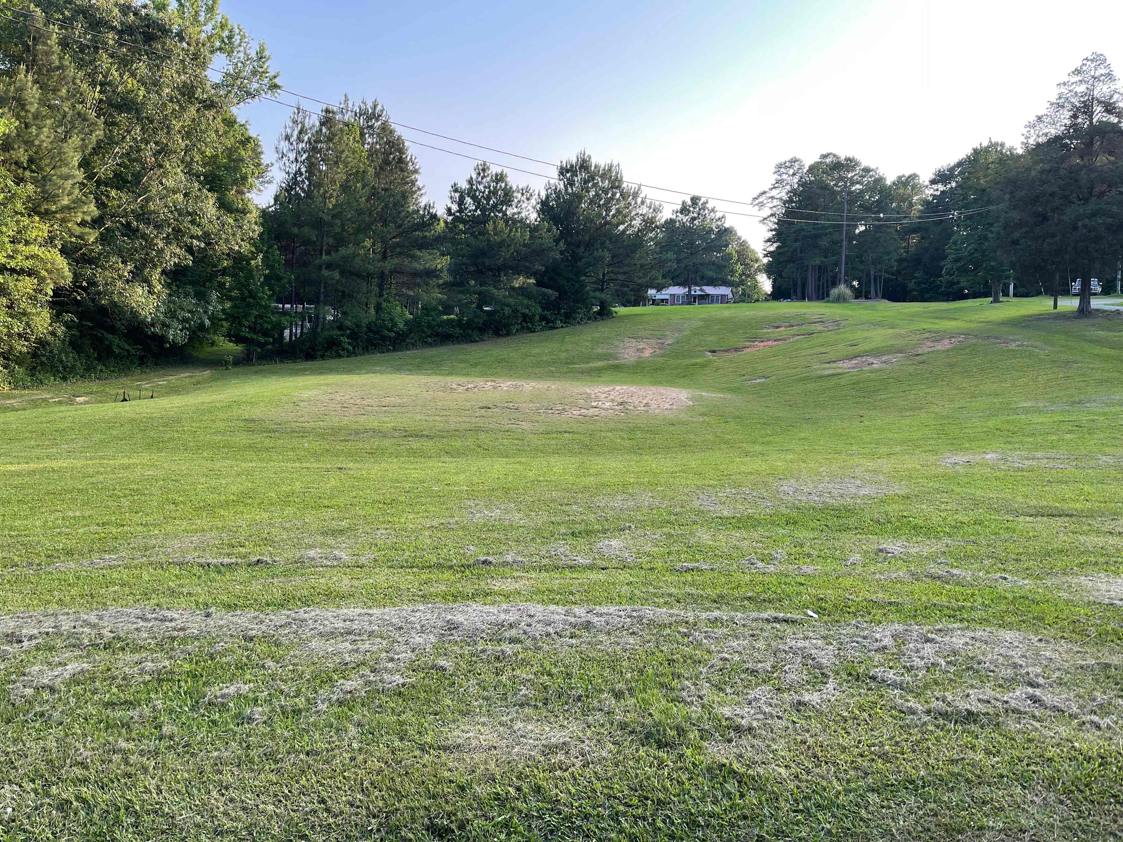 The Q Camp Site
