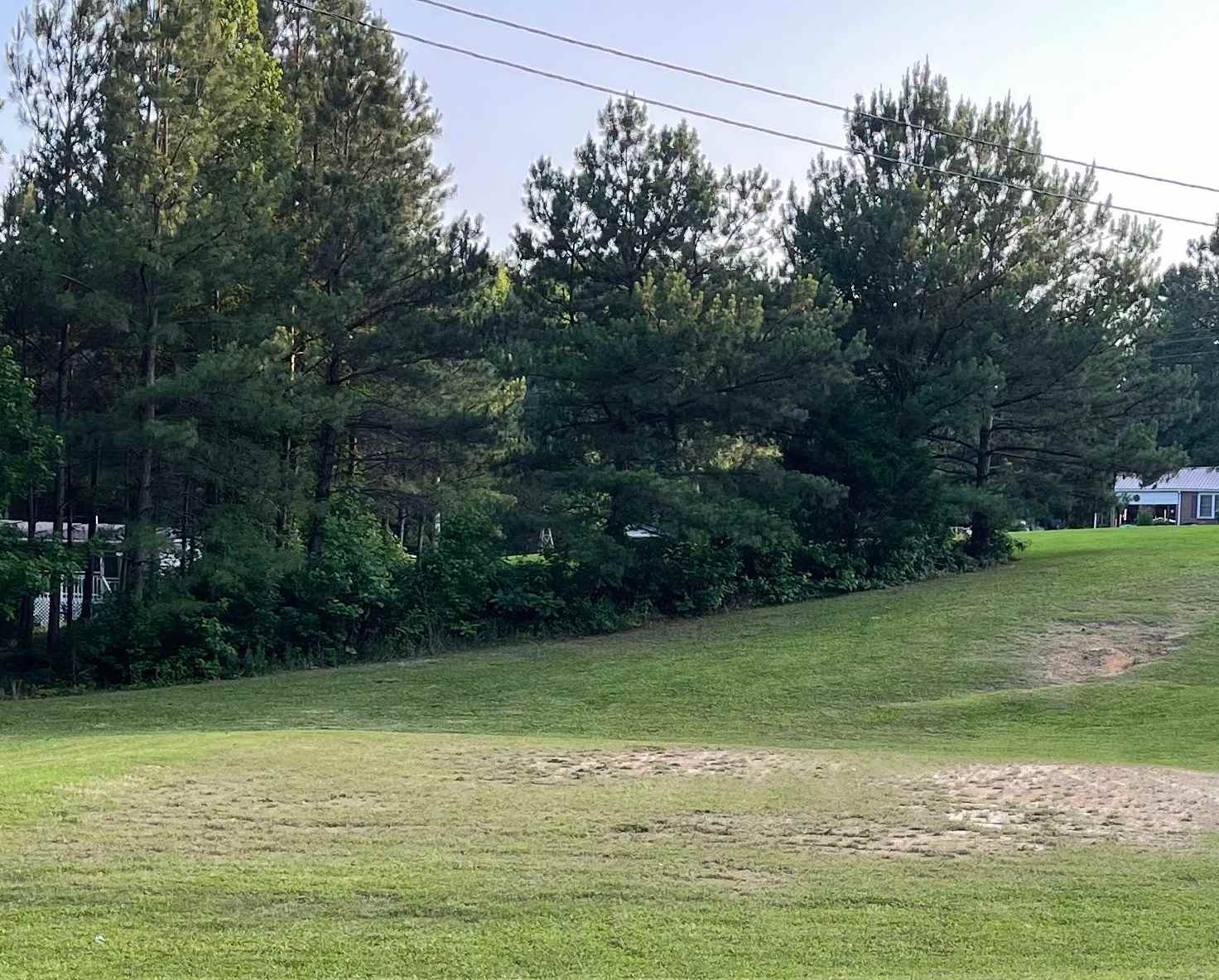 The Q Camp Site