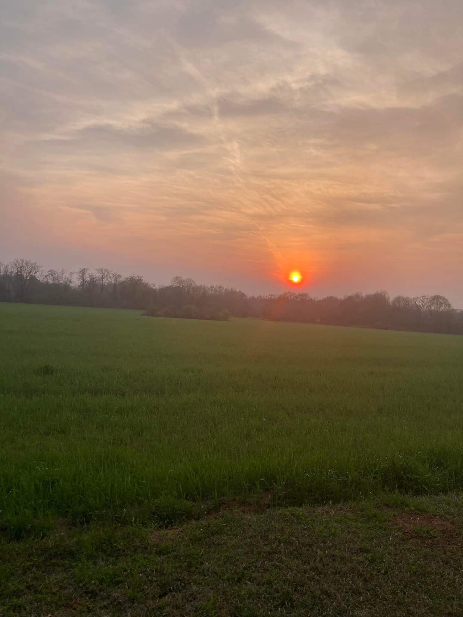 The sunsets on the property are the best. If you are lucky, you will see one just like this!