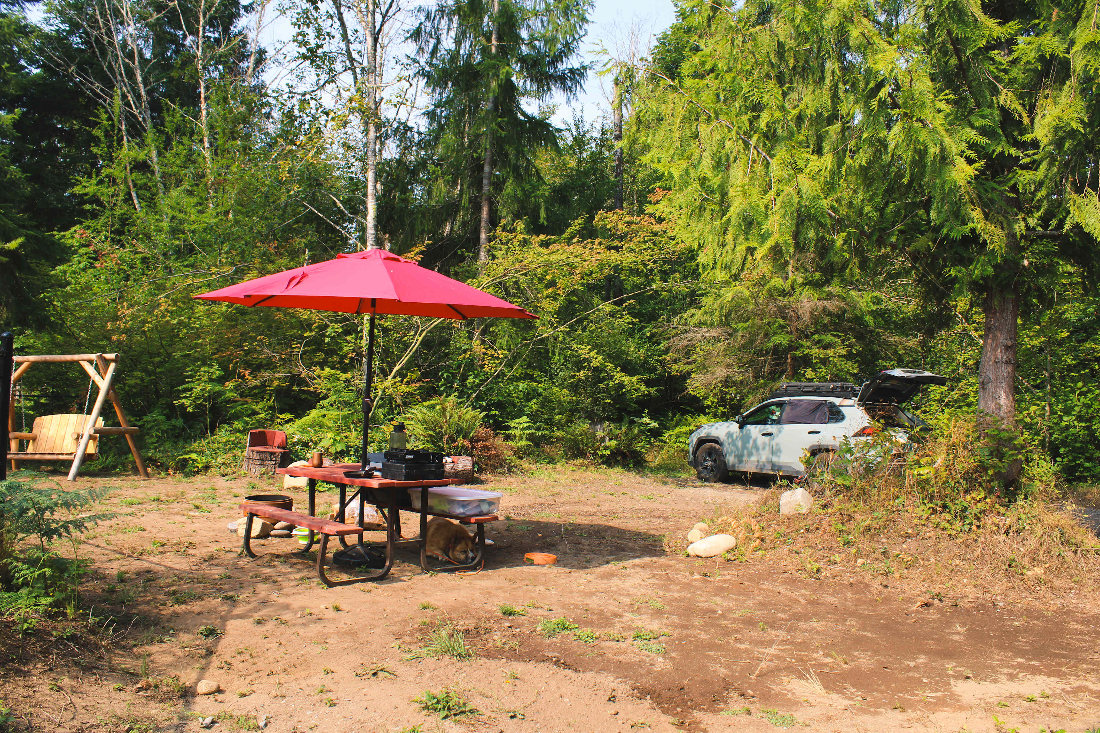 Site 1 overview