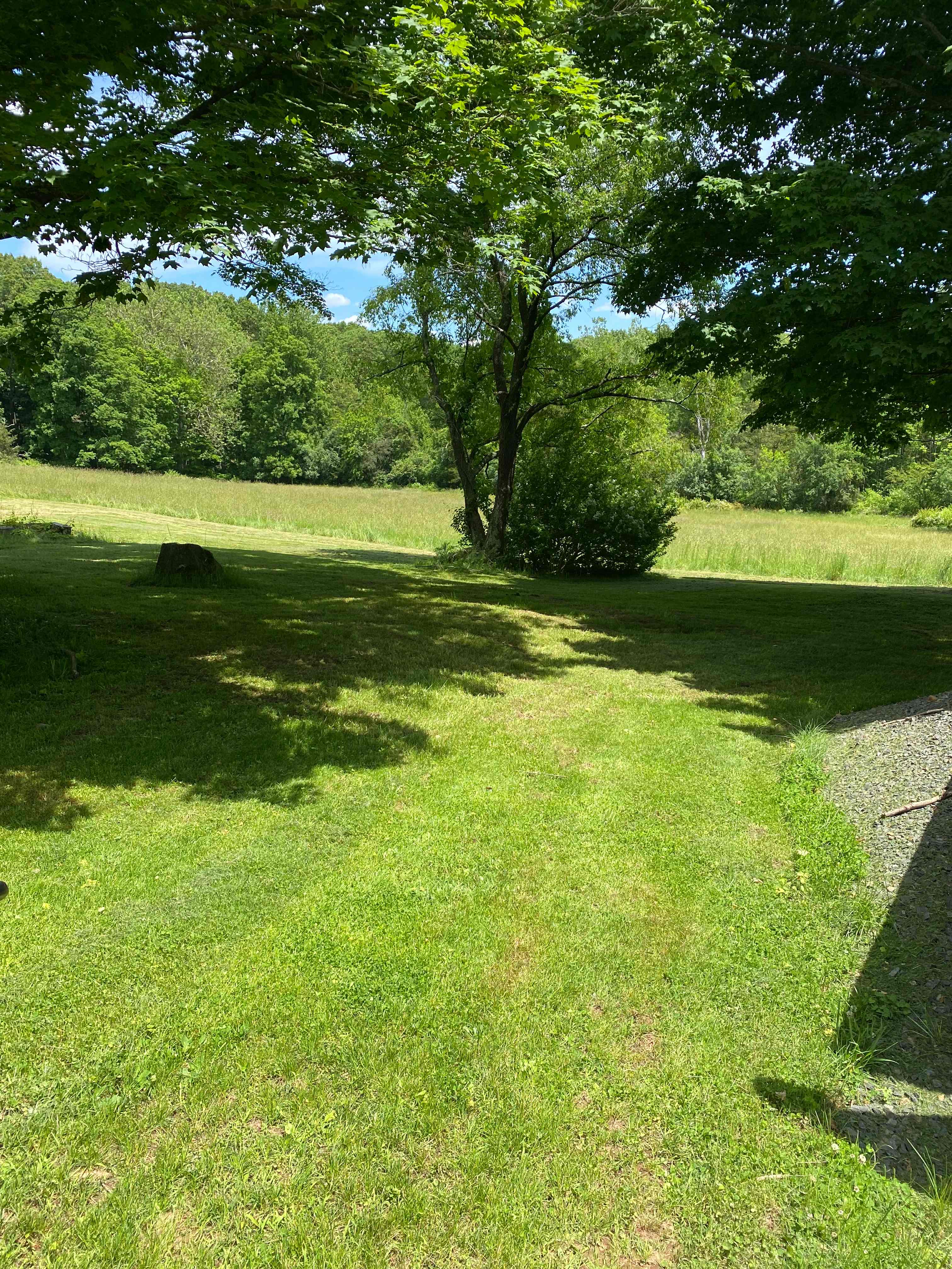 Greener Pastures Camp