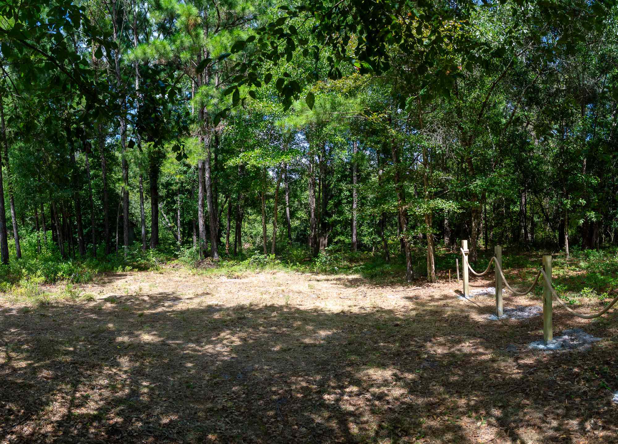 Circe Creek