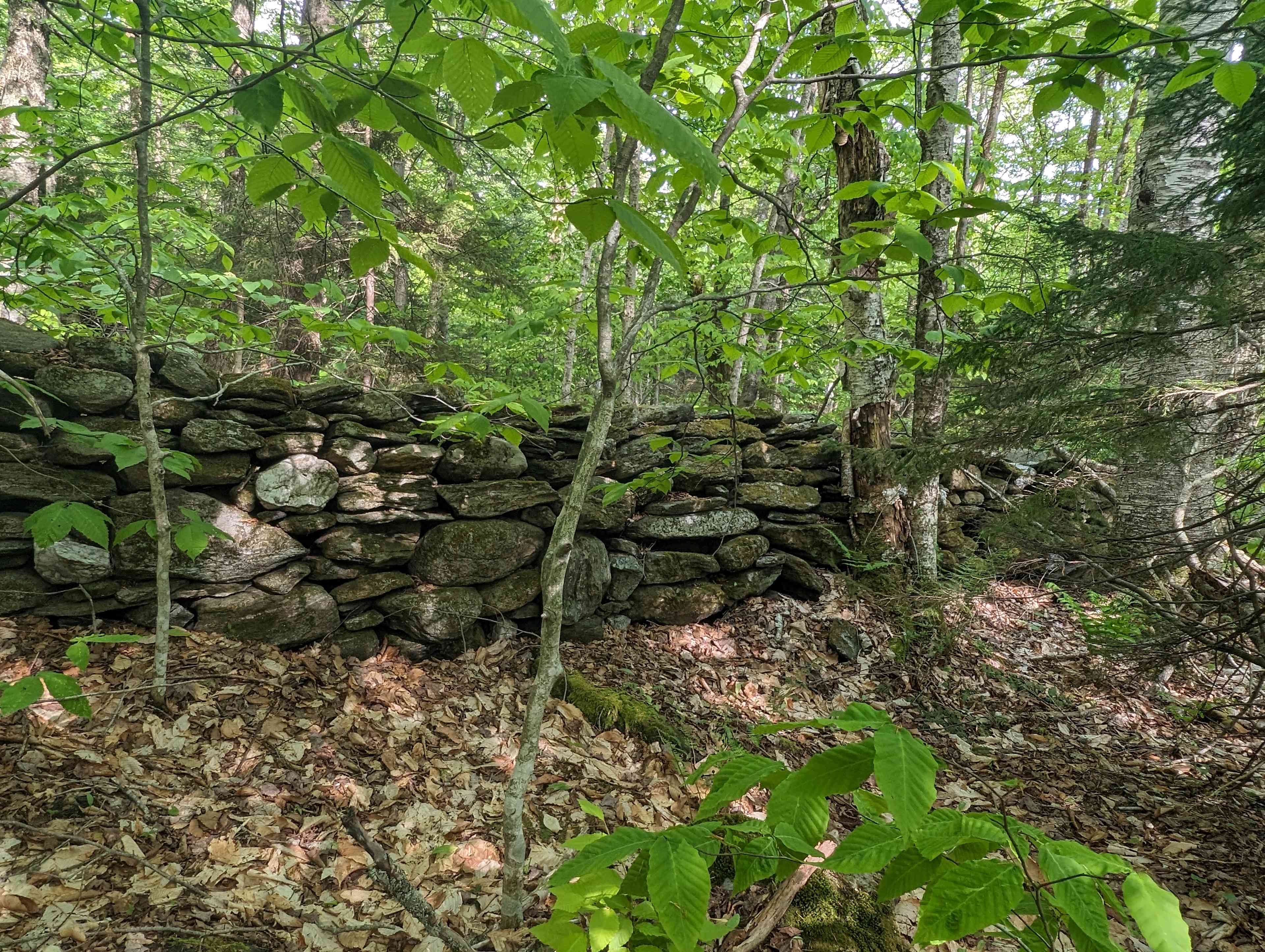 Berkshire Beech House