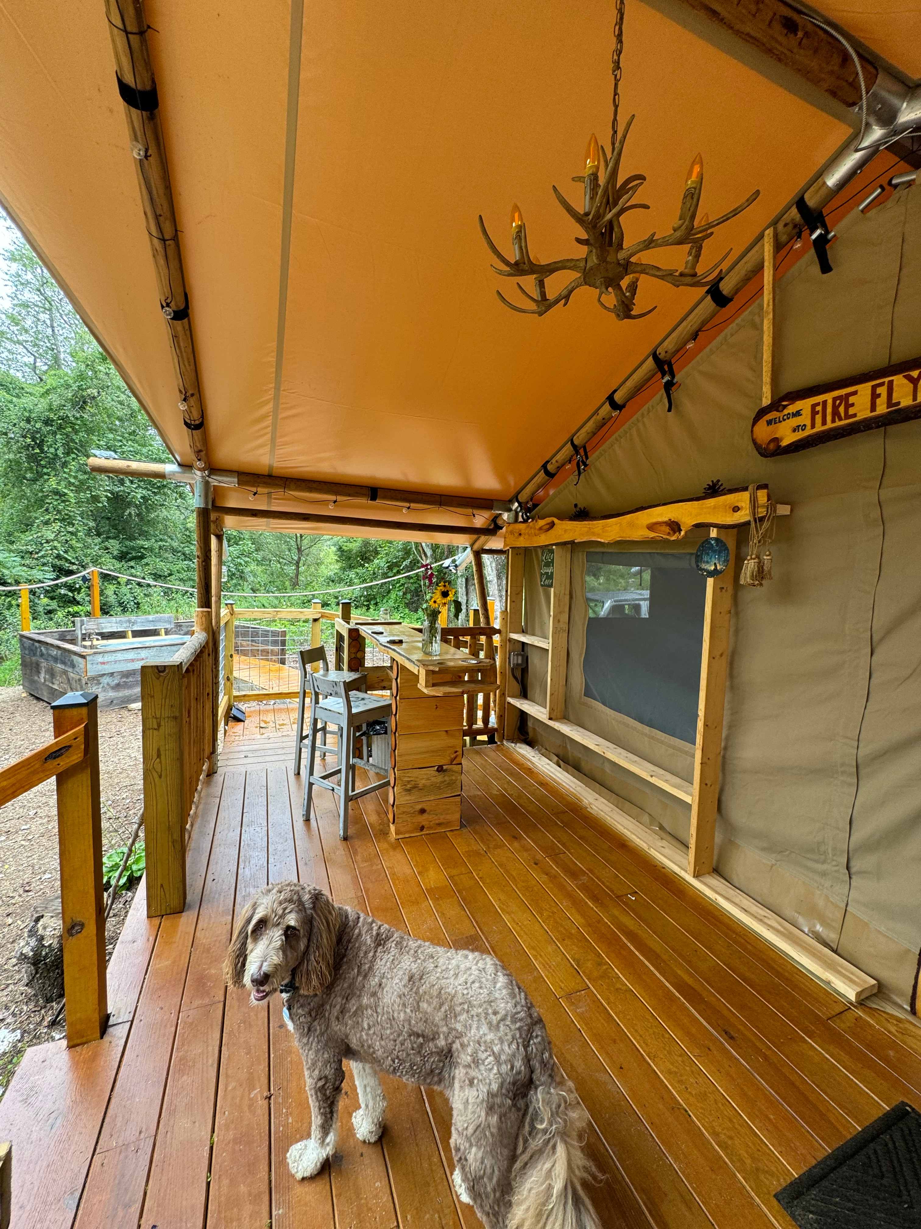 Firefly  tent on the creek bank