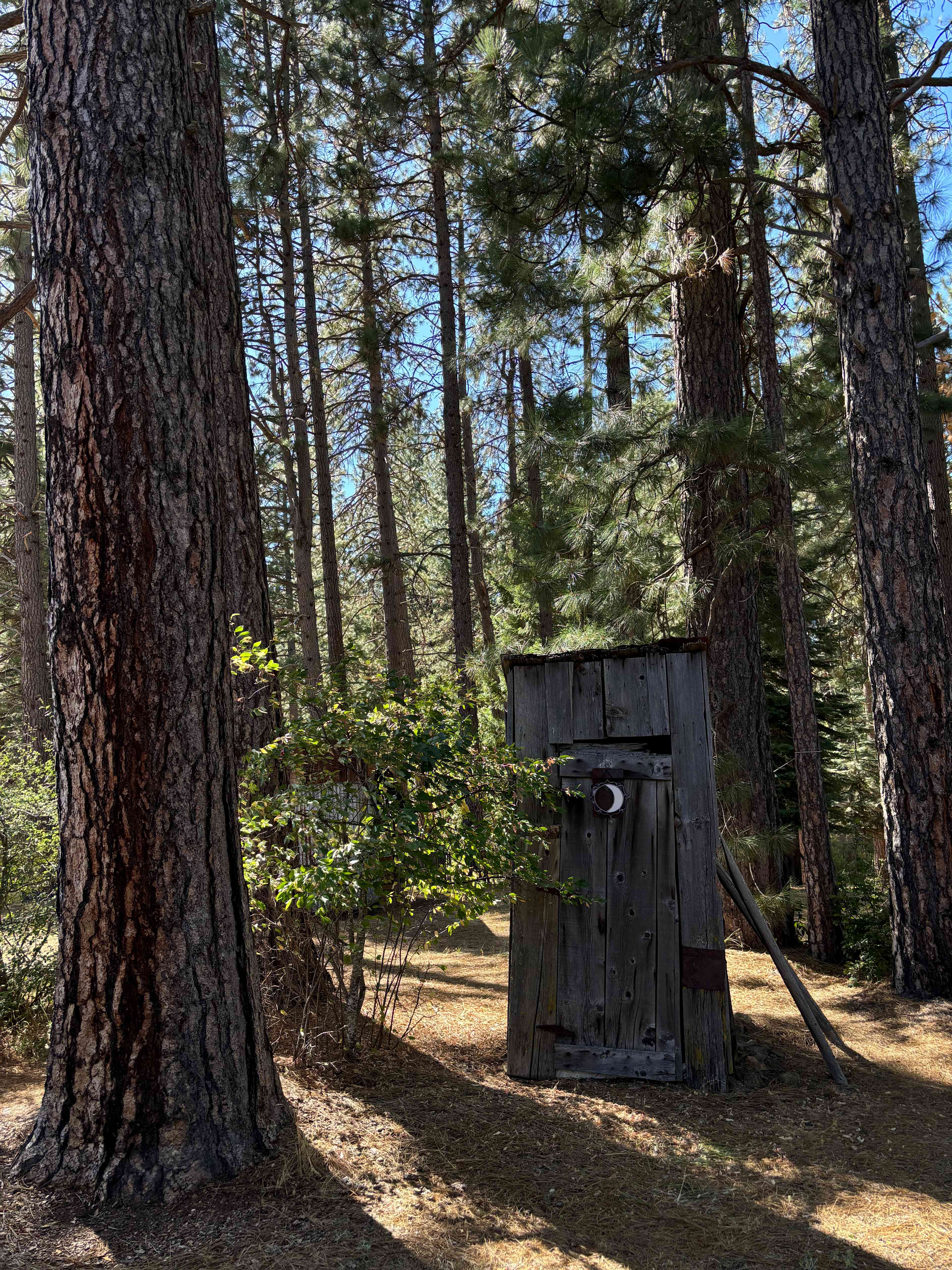 The outhouse! Just like in the old days. :)