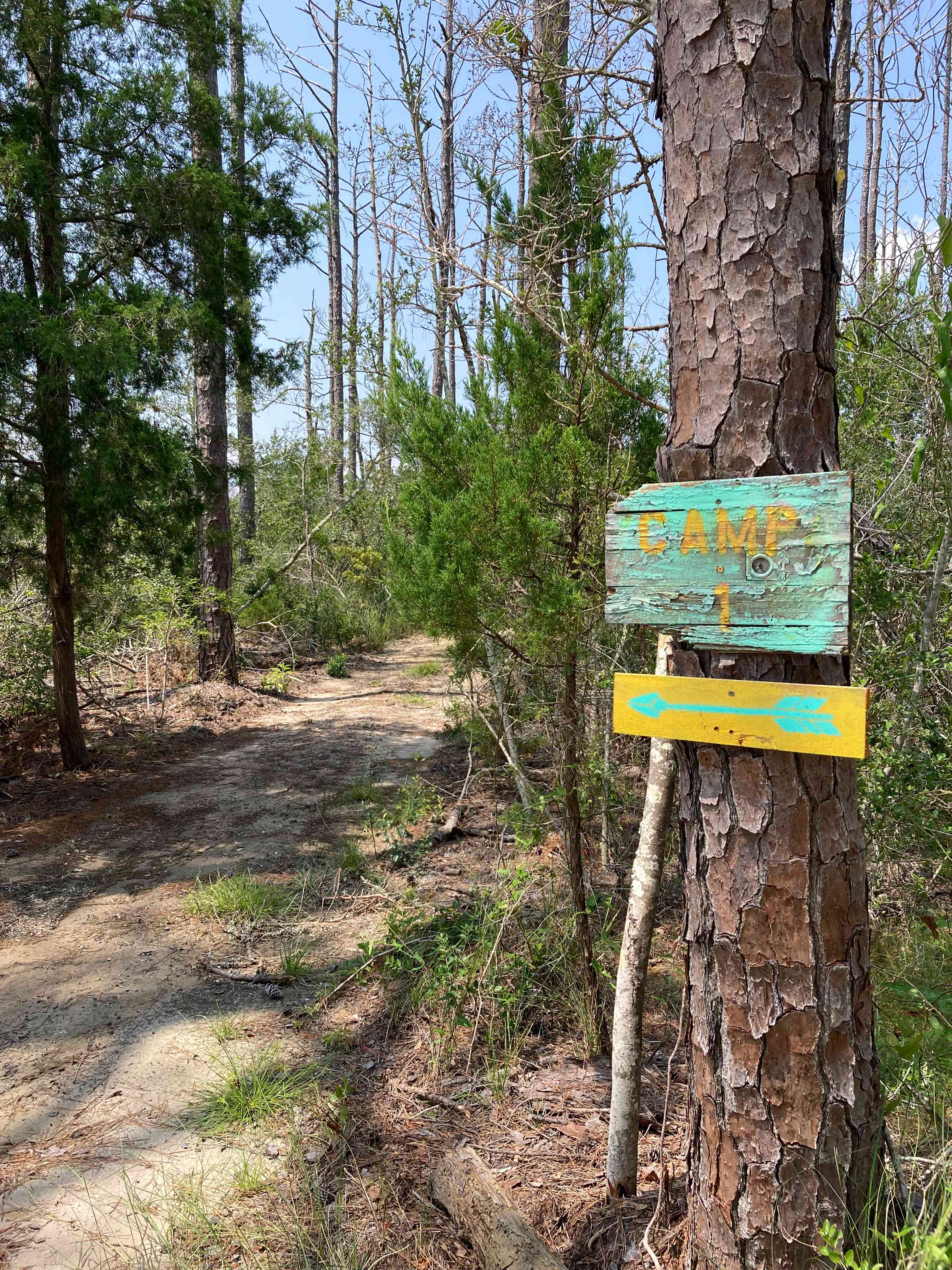 Crockett Landing