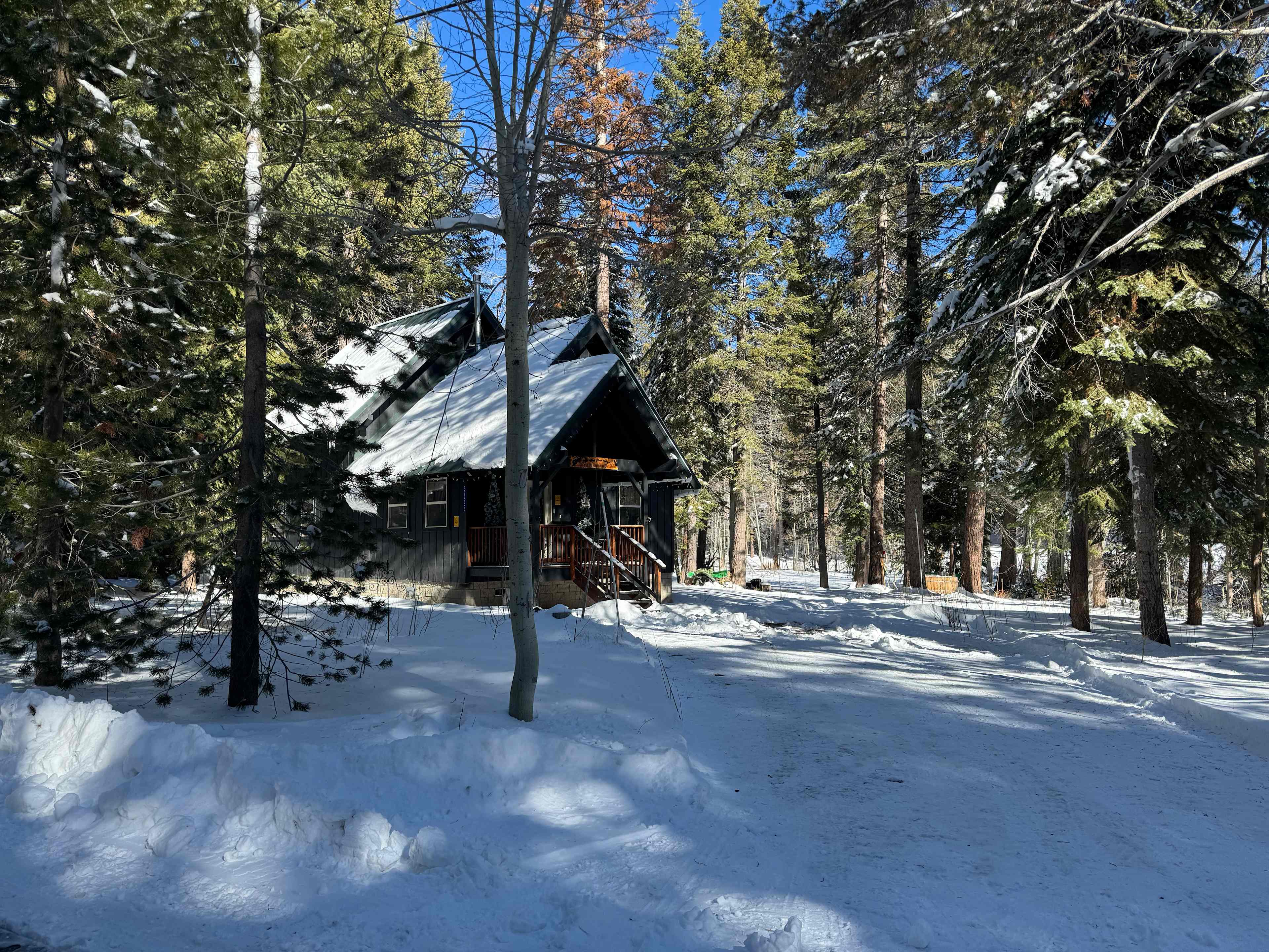 Cabin Grimm
