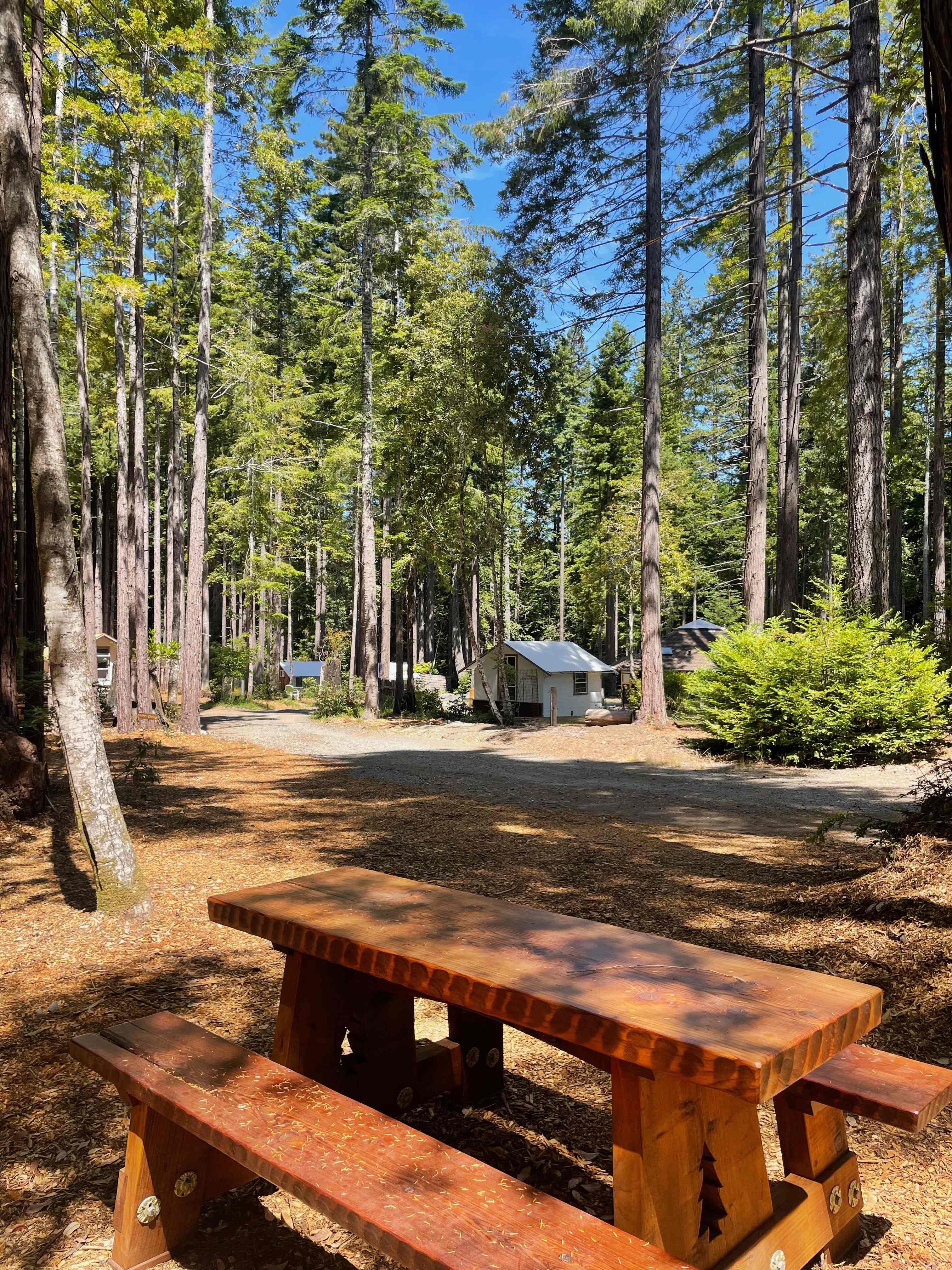 Heartwood Mendocino