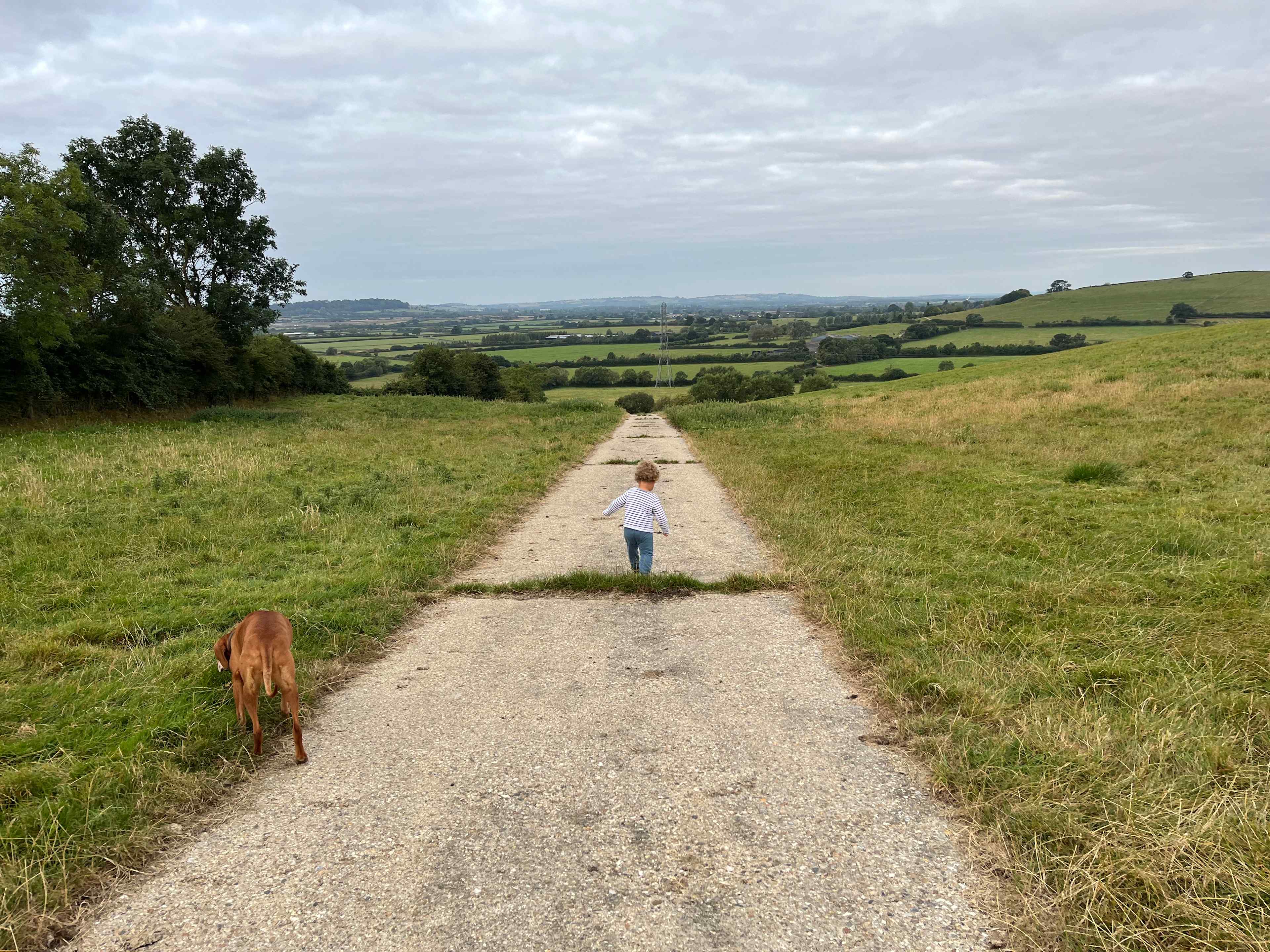 Pitchcott Farm