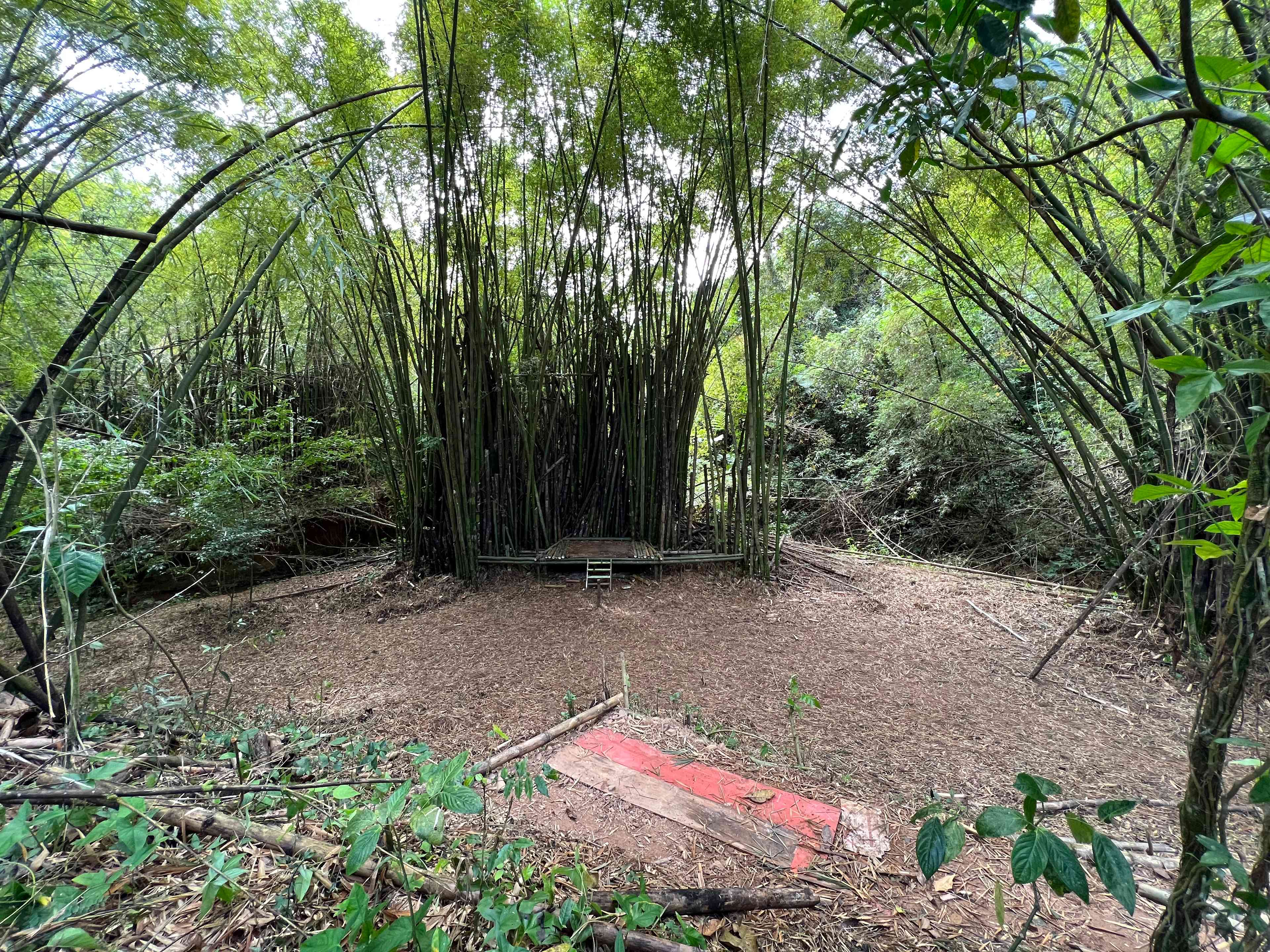 Peninsula Camp ground. River cross around it, so you’ll be surrounded by the calming sound of water, lots of birds and wind blowing through the bambu.