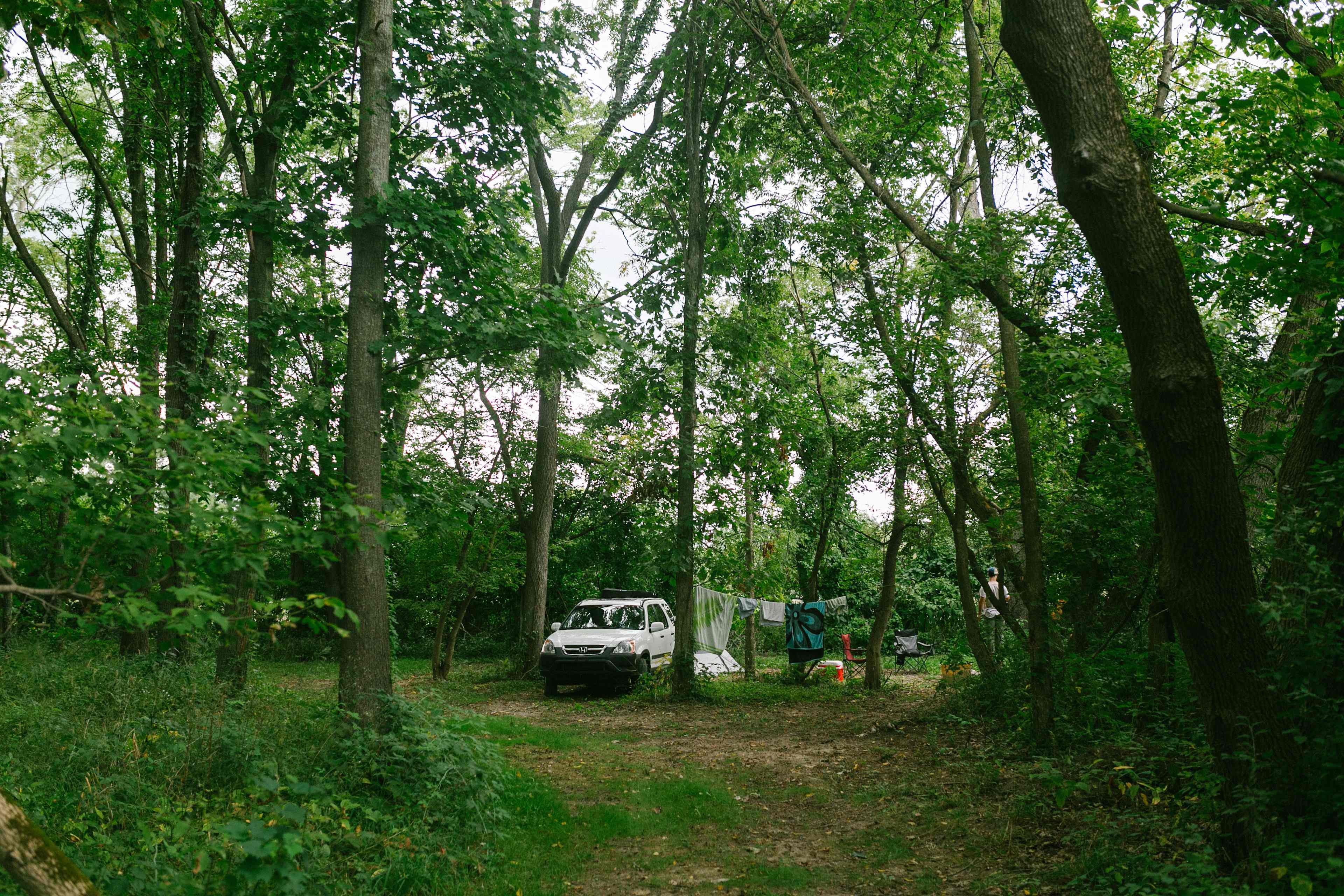 The view when you are entering the campsite.