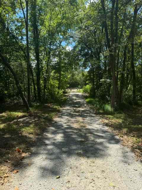 Sonny Hills