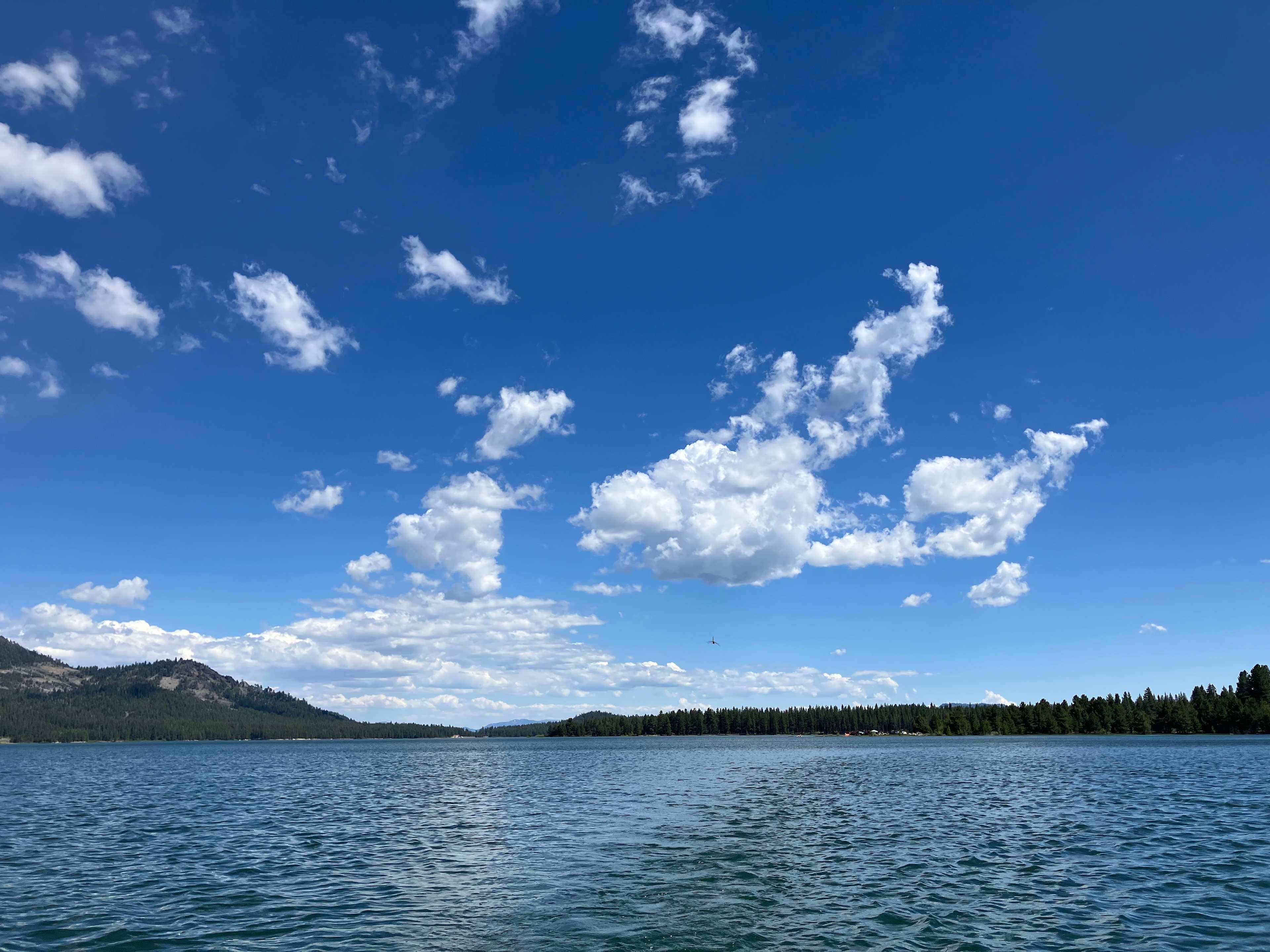 Spring Creek Camping