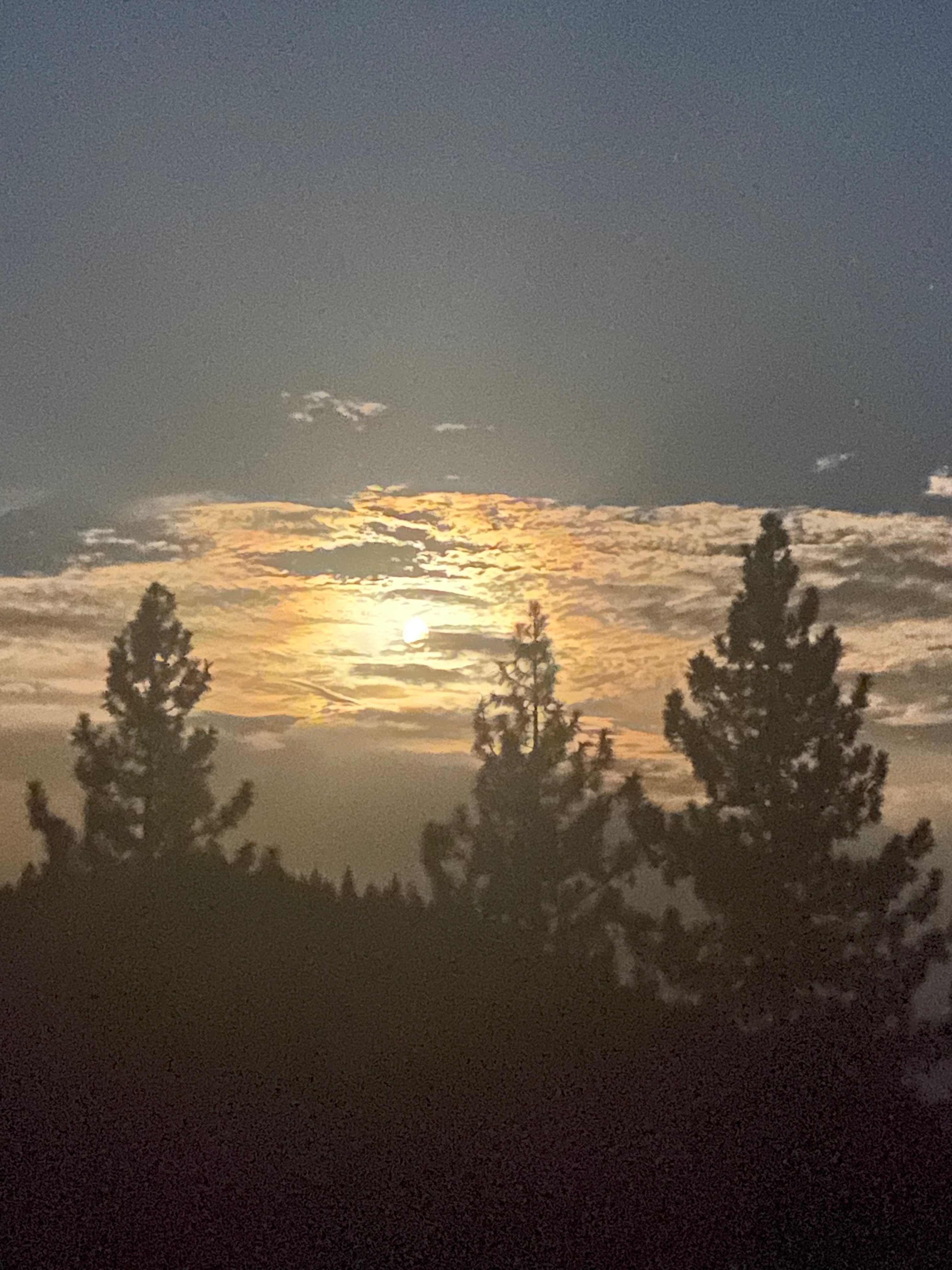Moonrise!