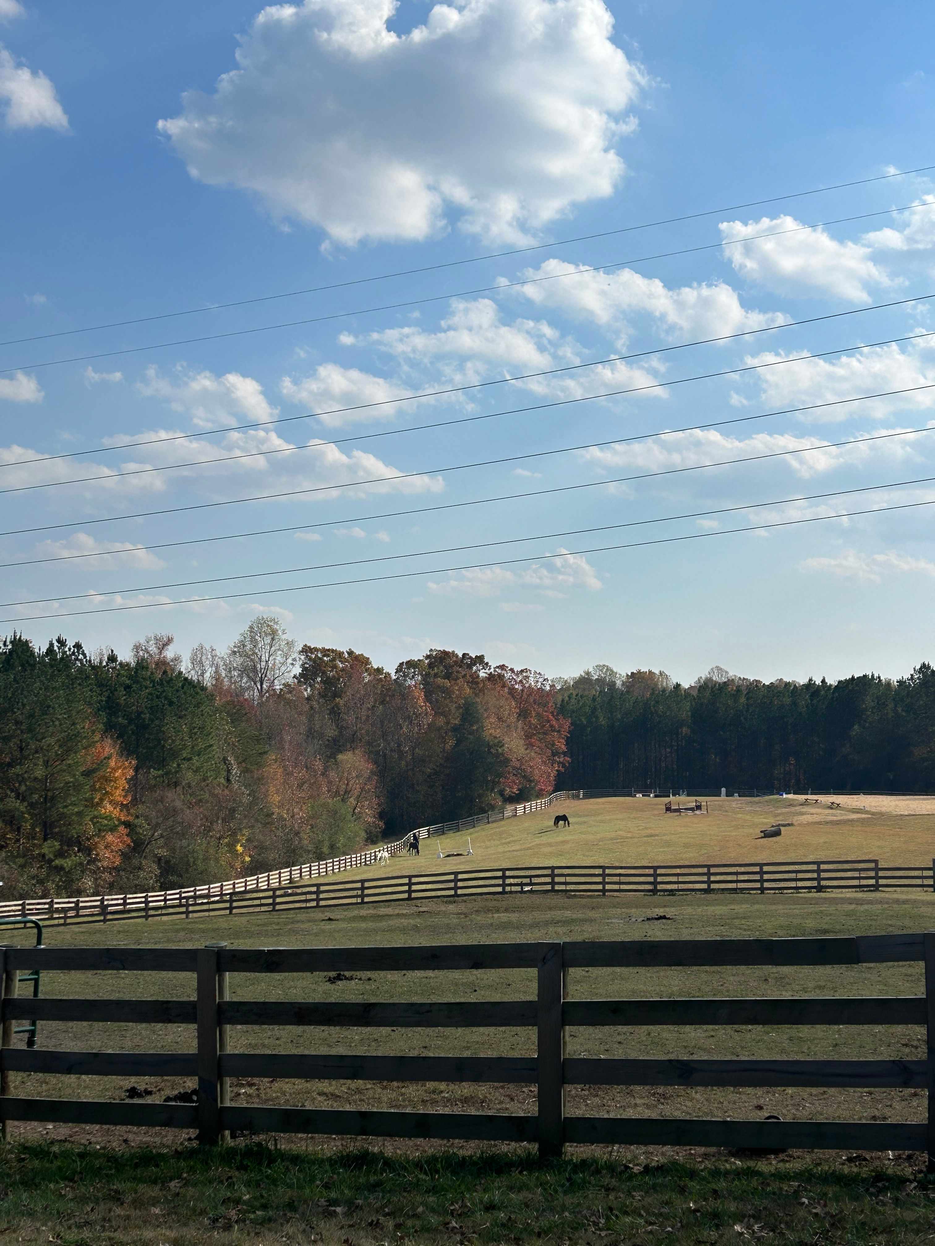 Pritchett Pastures