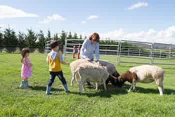 Towrang Farmstay