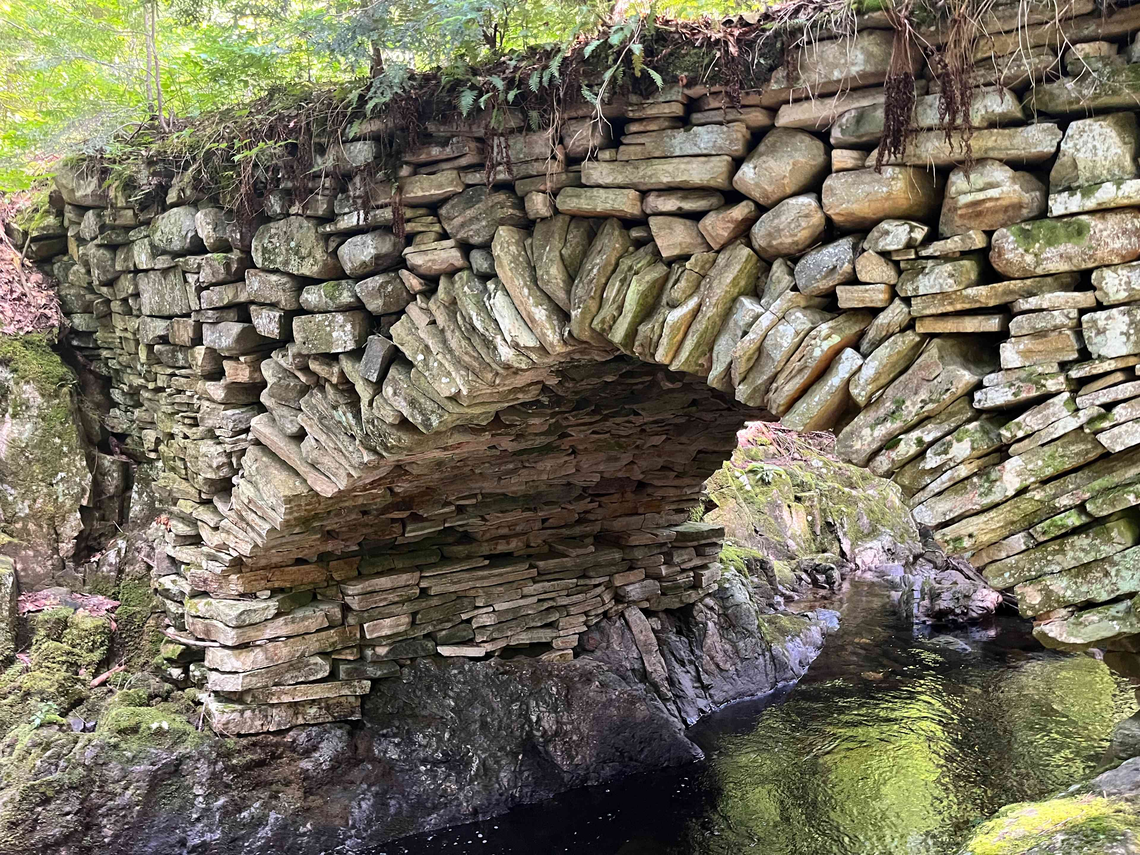 Pike Brook Camping