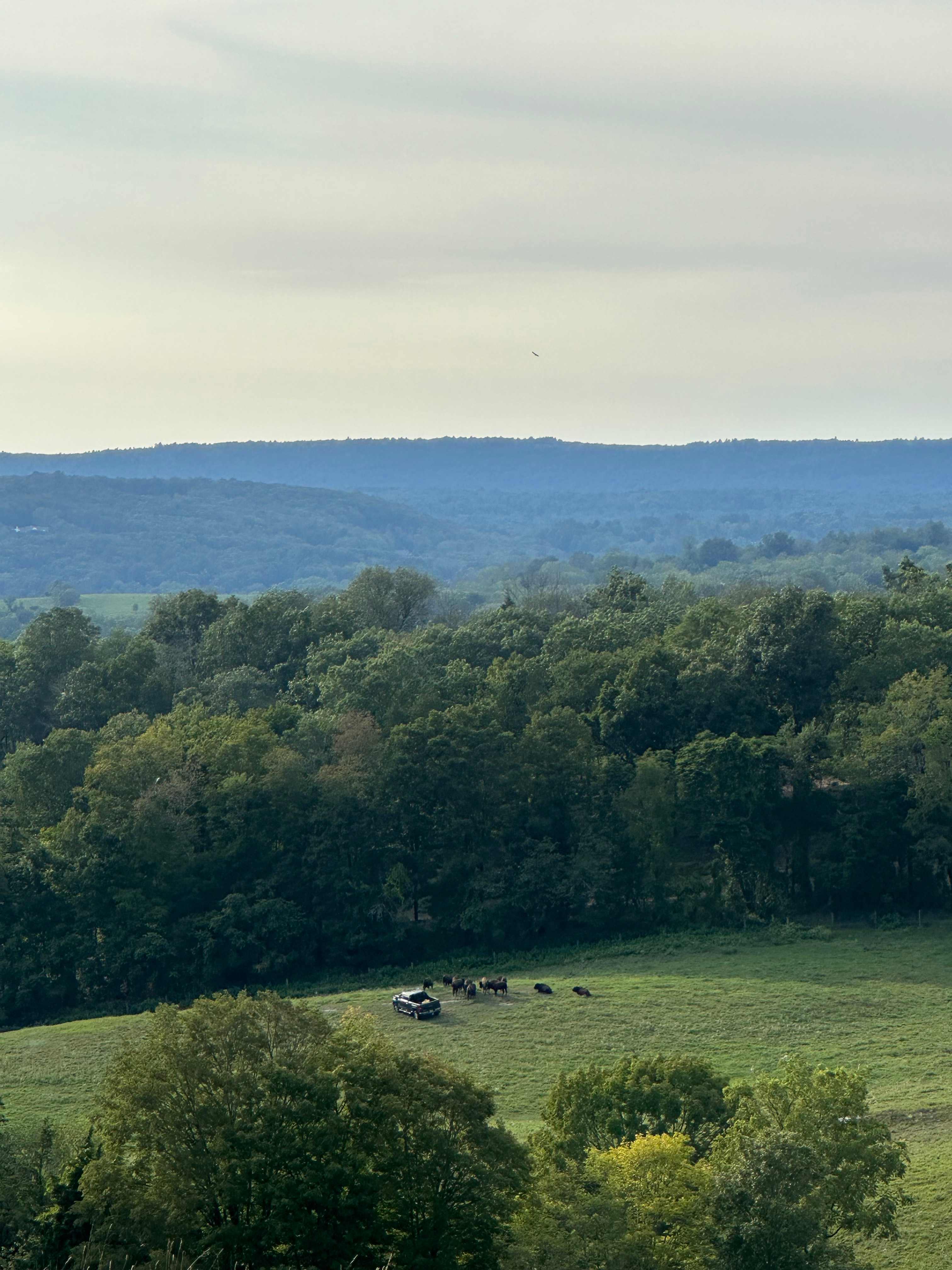 Ash to Oak Farm