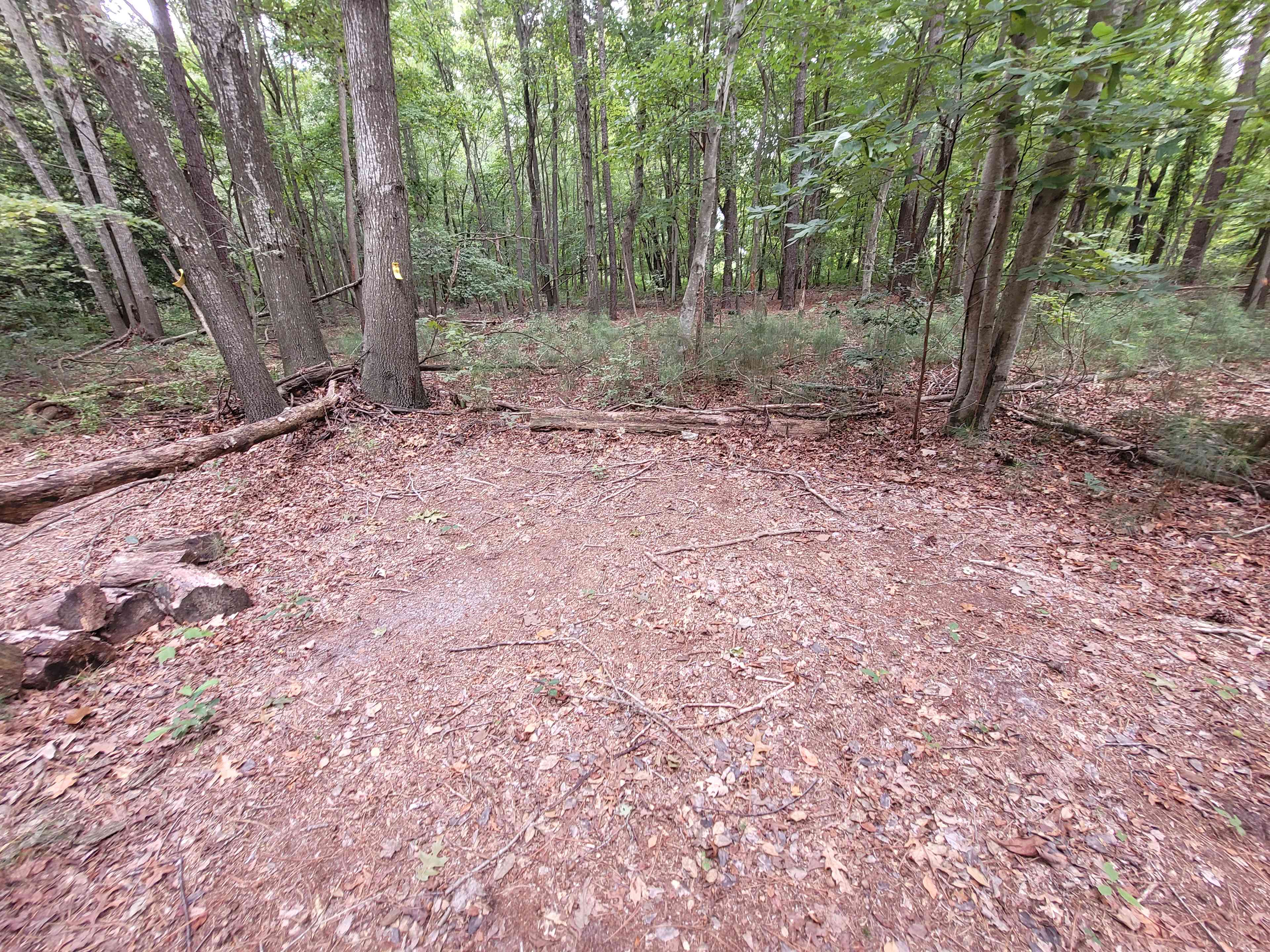 Apocalypse Camp