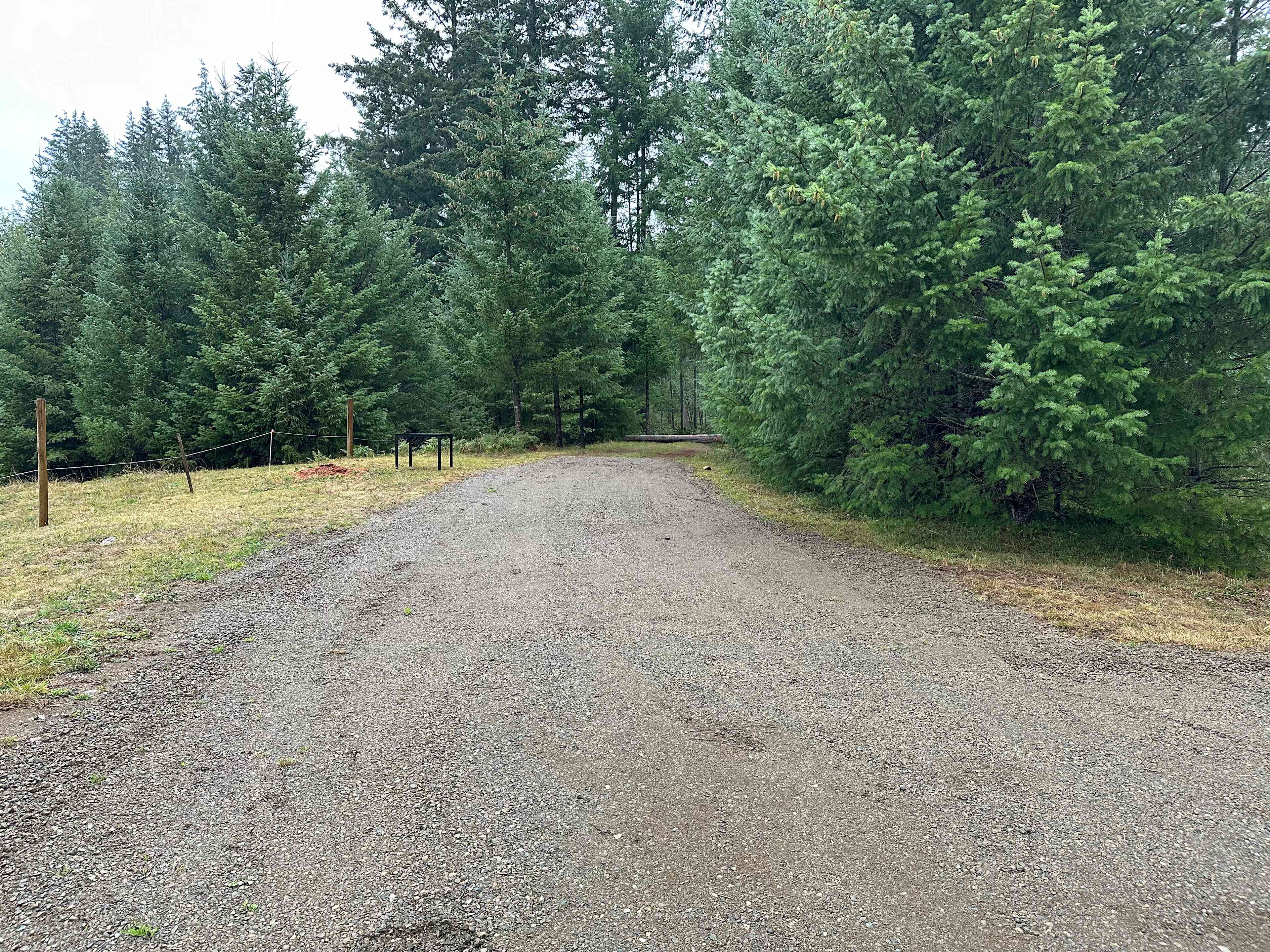 Tyee Valley Farm