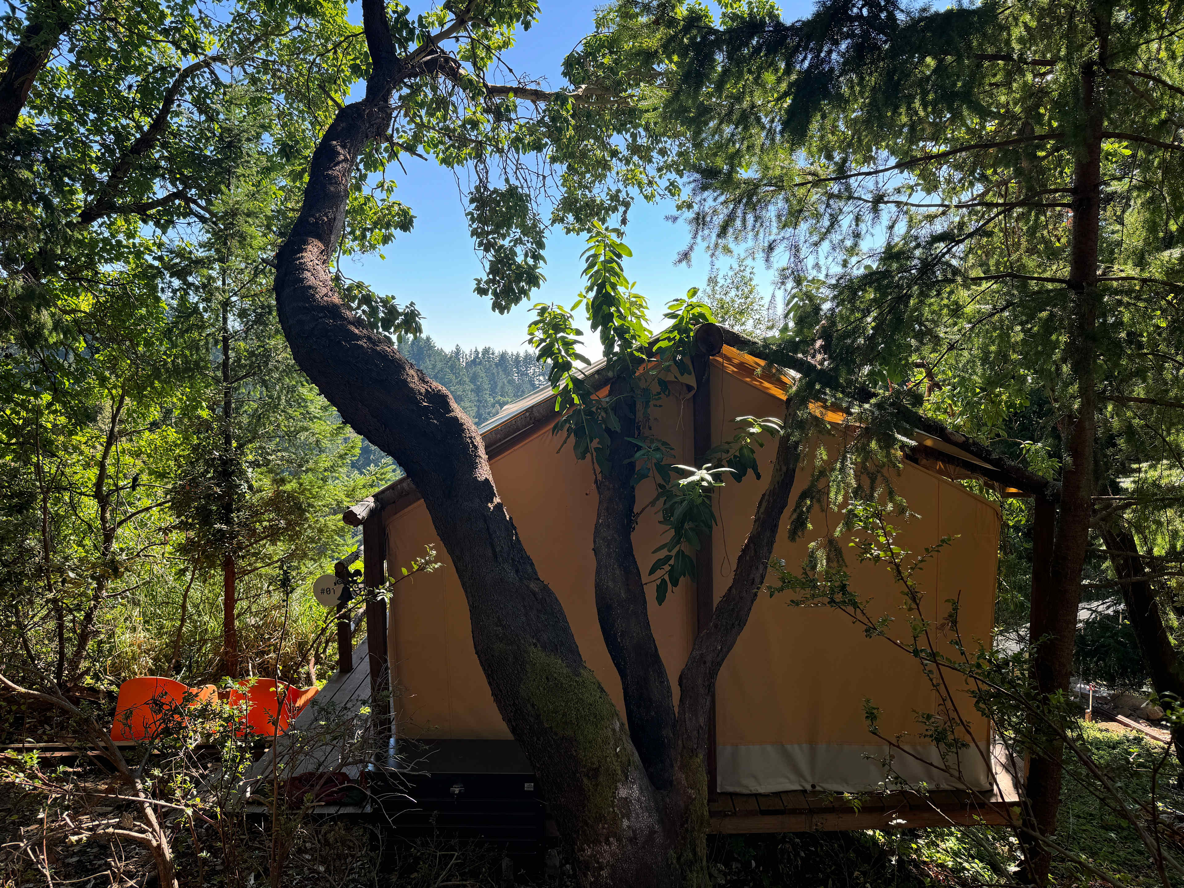Kings Mountain Camp w/ ocean views
