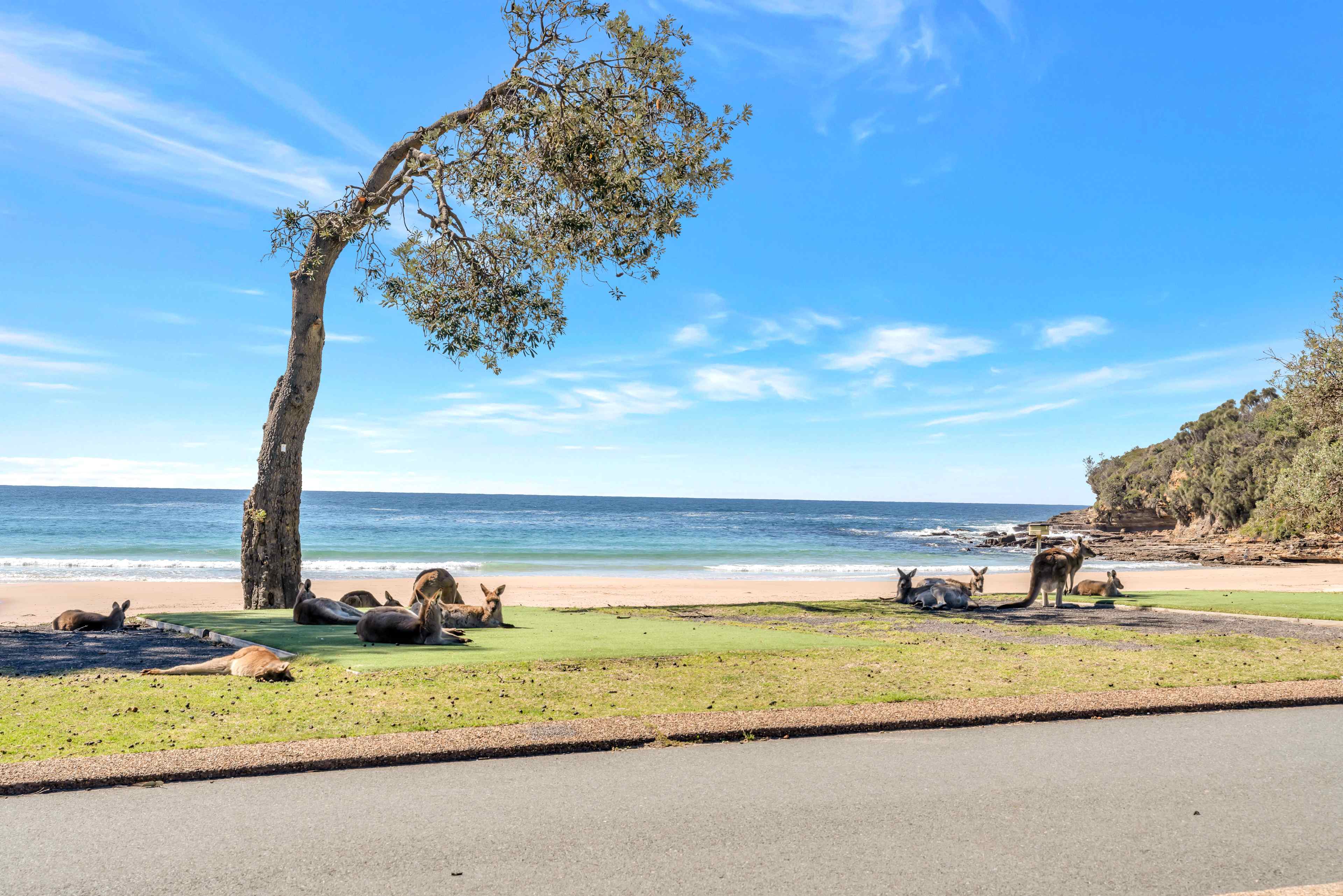 Ingenia Holidays Merry Beach